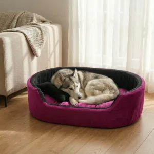dog bed, premium dog bed, orthopedic dog bed, soft dog bed, pet bed for dogs, comfortable dog bed, washable dog bed, dog bed with cushion, premium orthopedic dog bed for large dogs, soft and comfortable dog bed with cushion, durable dog bed with PU foam support, luxury pet bed for small and medium dogs, breathable dog bed for summer and winter, stylish modern dog bed for home, lightweight dog bed easy to carry, dog bed with bone shape pillow, buy dog bed online India, best dog bed for home use, affordable premium dog bed, high quality pet bed India, dog bed under budget, cozy dog bed, luxury pet comfort bed, soft plush dog bed, designer dog bed, pet sleeping bed, dog sofa bed, dog lounger bed, pet sofa bed, round dog bed, donut dog bed, calming dog bed, anti anxiety dog bed, raised edge dog bed, bolster dog bed, dog bed with side support, dog bed with high walls, puppy bed, small dog bed, medium dog bed, large dog bed, extra large dog bed, indoor dog bed, home pet bed, dog sleeping cushion, thick padded dog bed, fluffy dog bed, soft foam dog bed, PU foam dog bed, fiber filled dog bed, eco friendly dog bed, skin friendly dog bed, hypoallergenic dog bed, non toxic pet bed, durable pet bedding, long lasting dog bed, tear resistant dog bed, chew resistant dog bed, easy to clean dog bed, machine washable pet bed, removable cover dog bed, portable dog bed, travel dog bed, foldable dog bed, lightweight pet bed, luxury dog sofa, premium pet mattress, designer pet furniture, modern pet bed, aesthetic dog bed, comfortable pet mattress, pet relaxation bed, cozy pet nest, warm dog bed for winter, cool breathable dog bed for summer, all season dog bed, anti slip base dog bed, waterproof dog bed, indoor luxury pet bed, dog bed for crate, dog bed for living room, pet accessories dog bed, best selling dog bed, trending pet products, affordable pet bedding India, online pet supplies India