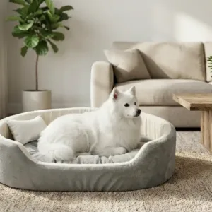 dog bed, premium dog bed, orthopedic dog bed, soft dog bed, pet bed for dogs, comfortable dog bed, washable dog bed, dog bed with cushion, premium orthopedic dog bed for large dogs, soft and comfortable dog bed with cushion, durable dog bed with PU foam support, luxury pet bed for small and medium dogs, breathable dog bed for summer and winter, stylish modern dog bed for home, lightweight dog bed easy to carry, dog bed with bone shape pillow, buy dog bed online India, best dog bed for home use, affordable premium dog bed, high quality pet bed India, dog bed under budget, cozy dog bed, luxury pet comfort bed, soft plush dog bed, designer dog bed, pet sleeping bed, dog sofa bed, dog lounger bed, pet sofa bed, round dog bed, donut dog bed, calming dog bed, anti anxiety dog bed, raised edge dog bed, bolster dog bed, dog bed with side support, dog bed with high walls, puppy bed, small dog bed, medium dog bed, large dog bed, extra large dog bed, indoor dog bed, home pet bed, dog sleeping cushion, thick padded dog bed, fluffy dog bed, soft foam dog bed, PU foam dog bed, fiber filled dog bed, eco friendly dog bed, skin friendly dog bed, hypoallergenic dog bed, non toxic pet bed, durable pet bedding, long lasting dog bed, tear resistant dog bed, chew resistant dog bed, easy to clean dog bed, machine washable pet bed, removable cover dog bed, portable dog bed, travel dog bed, foldable dog bed, lightweight pet bed, luxury dog sofa, premium pet mattress, designer pet furniture, modern pet bed, aesthetic dog bed, comfortable pet mattress, pet relaxation bed, cozy pet nest, warm dog bed for winter, cool breathable dog bed for summer, all season dog bed, anti slip base dog bed, waterproof dog bed, indoor luxury pet bed, dog bed for crate, dog bed for living room, pet accessories dog bed, best selling dog bed, trending pet products, affordable pet bedding India, online pet supplies India