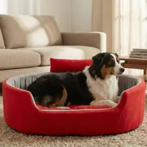 dog bed, premium dog bed, orthopedic dog bed, soft dog bed, pet bed for dogs, comfortable dog bed, washable dog bed, dog bed with cushion, premium orthopedic dog bed for large dogs, soft and comfortable dog bed with cushion, durable dog bed with PU foam support, luxury pet bed for small and medium dogs, breathable dog bed for summer and winter, stylish modern dog bed for home, lightweight dog bed easy to carry, dog bed with bone shape pillow, buy dog bed online India, best dog bed for home use, affordable premium dog bed, high quality pet bed India, dog bed under budget, cozy dog bed, luxury pet comfort bed, soft plush dog bed, designer dog bed, pet sleeping bed, dog sofa bed, dog lounger bed, pet sofa bed, round dog bed, donut dog bed, calming dog bed, anti anxiety dog bed, raised edge dog bed, bolster dog bed, dog bed with side support, dog bed with high walls, puppy bed, small dog bed, medium dog bed, large dog bed, extra large dog bed, indoor dog bed, home pet bed, dog sleeping cushion, thick padded dog bed, fluffy dog bed, soft foam dog bed, PU foam dog bed, fiber filled dog bed, eco friendly dog bed, skin friendly dog bed, hypoallergenic dog bed, non toxic pet bed, durable pet bedding, long lasting dog bed, tear resistant dog bed, chew resistant dog bed, easy to clean dog bed, machine washable pet bed, removable cover dog bed, portable dog bed, travel dog bed, foldable dog bed, lightweight pet bed, luxury dog sofa, premium pet mattress, designer pet furniture, modern pet bed, aesthetic dog bed, comfortable pet mattress, pet relaxation bed, cozy pet nest, warm dog bed for winter, cool breathable dog bed for summer, all season dog bed, anti slip base dog bed, waterproof dog bed, indoor luxury pet bed, dog bed for crate, dog bed for living room, pet accessories dog bed, best selling dog bed, trending pet products, affordable pet bedding India, online pet supplies India
