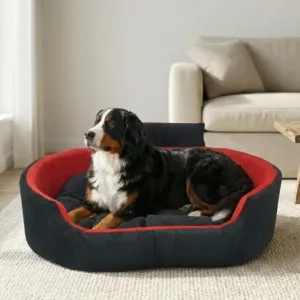 Bolster Orthopedic Dog Bed, dog bed, premium dog bed, orthopedic dog bed, soft dog bed, pet bed for dogs, comfortable dog bed, washable dog bed, dog bed with cushion, premium orthopedic dog bed for large dogs, soft and comfortable dog bed with cushion, durable dog bed with PU foam support, luxury pet bed for small and medium dogs, breathable dog bed for summer and winter, stylish modern dog bed for home, lightweight dog bed easy to carry, dog bed with bone shape pillow, buy dog bed online India, best dog bed for home use, affordable premium dog bed, high quality pet bed India, dog bed under budget, cozy dog bed, luxury pet comfort bed, soft plush dog bed, designer dog bed, pet sleeping bed, dog sofa bed, dog lounger bed, pet sofa bed, round dog bed, donut dog bed, calming dog bed, anti anxiety dog bed, raised edge dog bed, bolster dog bed, dog bed with side support, dog bed with high walls, puppy bed, small dog bed, medium dog bed, large dog bed, extra large dog bed, indoor dog bed, home pet bed, dog sleeping cushion, thick padded dog bed, fluffy dog bed, soft foam dog bed, PU foam dog bed, fiber filled dog bed, eco friendly dog bed, skin friendly dog bed, hypoallergenic dog bed, non toxic pet bed, durable pet bedding, long lasting dog bed, tear resistant dog bed, chew resistant dog bed, easy to clean dog bed, machine washable pet bed, removable cover dog bed, portable dog bed, travel dog bed, foldable dog bed, lightweight pet bed, luxury dog sofa, premium pet mattress, designer pet furniture, modern pet bed, aesthetic dog bed, comfortable pet mattress, pet relaxation bed, cozy pet nest, warm dog bed for winter, cool breathable dog bed for summer, all season dog bed, anti slip base dog bed, waterproof dog bed, indoor luxury pet bed, dog bed for crate, dog bed for living room, pet accessories dog bed, best selling dog bed, trending pet products, affordable pet bedding India, online pet supplies India