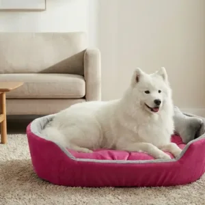 dog bed, premium dog bed, orthopedic dog bed, soft dog bed, pet bed for dogs, comfortable dog bed, washable dog bed, dog bed with cushion, premium orthopedic dog bed for large dogs, soft and comfortable dog bed with cushion, durable dog bed with PU foam support, luxury pet bed for small and medium dogs, breathable dog bed for summer and winter, stylish modern dog bed for home, lightweight dog bed easy to carry, dog bed with bone shape pillow, buy dog bed online India, best dog bed for home use, affordable premium dog bed, high quality pet bed India, dog bed under budget, cozy dog bed, luxury pet comfort bed, soft plush dog bed, designer dog bed, pet sleeping bed, dog sofa bed, dog lounger bed, pet sofa bed, round dog bed, donut dog bed, calming dog bed, anti anxiety dog bed, raised edge dog bed, bolster dog bed, dog bed with side support, dog bed with high walls, puppy bed, small dog bed, medium dog bed, large dog bed, extra large dog bed, indoor dog bed, home pet bed, dog sleeping cushion, thick padded dog bed, fluffy dog bed, soft foam dog bed, PU foam dog bed, fiber filled dog bed, eco friendly dog bed, skin friendly dog bed, hypoallergenic dog bed, non toxic pet bed, durable pet bedding, long lasting dog bed, tear resistant dog bed, chew resistant dog bed, easy to clean dog bed, machine washable pet bed, removable cover dog bed, portable dog bed, travel dog bed, foldable dog bed, lightweight pet bed, luxury dog sofa, premium pet mattress, designer pet furniture, modern pet bed, aesthetic dog bed, comfortable pet mattress, pet relaxation bed, cozy pet nest, warm dog bed for winter, cool breathable dog bed for summer, all season dog bed, anti slip base dog bed, waterproof dog bed, indoor luxury pet bed, dog bed for crate, dog bed for living room, pet accessories dog bed, best selling dog bed, trending pet products, affordable pet bedding India, online pet supplies India