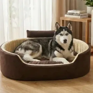Bolster Orthopedic Dog Bed, dog bed, premium dog bed, orthopedic dog bed, soft dog bed, pet bed for dogs, comfortable dog bed, washable dog bed, dog bed with cushion, premium orthopedic dog bed for large dogs, soft and comfortable dog bed with cushion, durable dog bed with PU foam support, luxury pet bed for small and medium dogs, breathable dog bed for summer and winter, stylish modern dog bed for home, lightweight dog bed easy to carry, dog bed with bone shape pillow, buy dog bed online India, best dog bed for home use, affordable premium dog bed, high quality pet bed India, dog bed under budget, cozy dog bed, luxury pet comfort bed, soft plush dog bed, designer dog bed, pet sleeping bed, dog sofa bed, dog lounger bed, pet sofa bed, round dog bed, donut dog bed, calming dog bed, anti anxiety dog bed, raised edge dog bed, bolster dog bed, dog bed with side support, dog bed with high walls, puppy bed, small dog bed, medium dog bed, large dog bed, extra large dog bed, indoor dog bed, home pet bed, dog sleeping cushion, thick padded dog bed, fluffy dog bed, soft foam dog bed, PU foam dog bed, fiber filled dog bed, eco friendly dog bed, skin friendly dog bed, hypoallergenic dog bed, non toxic pet bed, durable pet bedding, long lasting dog bed, tear resistant dog bed, chew resistant dog bed, easy to clean dog bed, machine washable pet bed, removable cover dog bed, portable dog bed, travel dog bed, foldable dog bed, lightweight pet bed, luxury dog sofa, premium pet mattress, designer pet furniture, modern pet bed, aesthetic dog bed, comfortable pet mattress, pet relaxation bed, cozy pet nest, warm dog bed for winter, cool breathable dog bed for summer, all season dog bed, anti slip base dog bed, waterproof dog bed, indoor luxury pet bed, dog bed for crate, dog bed for living room, pet accessories dog bed, best selling dog bed, trending pet products, affordable pet bedding India, online pet supplies India