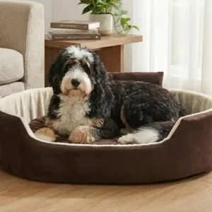Bolster Orthopedic Dog Bed, dog bed, premium dog bed, orthopedic dog bed, soft dog bed, pet bed for dogs, comfortable dog bed, washable dog bed, dog bed with cushion, premium orthopedic dog bed for large dogs, soft and comfortable dog bed with cushion, durable dog bed with PU foam support, luxury pet bed for small and medium dogs, breathable dog bed for summer and winter, stylish modern dog bed for home, lightweight dog bed easy to carry, dog bed with bone shape pillow, buy dog bed online India, best dog bed for home use, affordable premium dog bed, high quality pet bed India, dog bed under budget, cozy dog bed, luxury pet comfort bed, soft plush dog bed, designer dog bed, pet sleeping bed, dog sofa bed, dog lounger bed, pet sofa bed, round dog bed, donut dog bed, calming dog bed, anti anxiety dog bed, raised edge dog bed, bolster dog bed, dog bed with side support, dog bed with high walls, puppy bed, small dog bed, medium dog bed, large dog bed, extra large dog bed, indoor dog bed, home pet bed, dog sleeping cushion, thick padded dog bed, fluffy dog bed, soft foam dog bed, PU foam dog bed, fiber filled dog bed, eco friendly dog bed, skin friendly dog bed, hypoallergenic dog bed, non toxic pet bed, durable pet bedding, long lasting dog bed, tear resistant dog bed, chew resistant dog bed, easy to clean dog bed, machine washable pet bed, removable cover dog bed, portable dog bed, travel dog bed, foldable dog bed, lightweight pet bed, luxury dog sofa, premium pet mattress, designer pet furniture, modern pet bed, aesthetic dog bed, comfortable pet mattress, pet relaxation bed, cozy pet nest, warm dog bed for winter, cool breathable dog bed for summer, all season dog bed, anti slip base dog bed, waterproof dog bed, indoor luxury pet bed, dog bed for crate, dog bed for living room, pet accessories dog bed, best selling dog bed, trending pet products, affordable pet bedding India, online pet supplies India