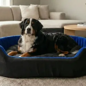 Bolster Orthopedic Dog Bed, dog bed, premium dog bed, orthopedic dog bed, soft dog bed, pet bed for dogs, comfortable dog bed, washable dog bed, dog bed with cushion, premium orthopedic dog bed for large dogs, soft and comfortable dog bed with cushion, durable dog bed with PU foam support, luxury pet bed for small and medium dogs, breathable dog bed for summer and winter, stylish modern dog bed for home, lightweight dog bed easy to carry, dog bed with bone shape pillow, buy dog bed online India, best dog bed for home use, affordable premium dog bed, high quality pet bed India, dog bed under budget, cozy dog bed, luxury pet comfort bed, soft plush dog bed, designer dog bed, pet sleeping bed, dog sofa bed, dog lounger bed, pet sofa bed, round dog bed, donut dog bed, calming dog bed, anti anxiety dog bed, raised edge dog bed, bolster dog bed, dog bed with side support, dog bed with high walls, puppy bed, small dog bed, medium dog bed, large dog bed, extra large dog bed, indoor dog bed, home pet bed, dog sleeping cushion, thick padded dog bed, fluffy dog bed, soft foam dog bed, PU foam dog bed, fiber filled dog bed, eco friendly dog bed, skin friendly dog bed, hypoallergenic dog bed, non toxic pet bed, durable pet bedding, long lasting dog bed, tear resistant dog bed, chew resistant dog bed, easy to clean dog bed, machine washable pet bed, removable cover dog bed, portable dog bed, travel dog bed, foldable dog bed, lightweight pet bed, luxury dog sofa, premium pet mattress, designer pet furniture, modern pet bed, aesthetic dog bed, comfortable pet mattress, pet relaxation bed, cozy pet nest, warm dog bed for winter, cool breathable dog bed for summer, all season dog bed, anti slip base dog bed, waterproof dog bed, indoor luxury pet bed, dog bed for crate, dog bed for living room, pet accessories dog bed, best selling dog bed, trending pet products, affordable pet bedding India, online pet supplies India