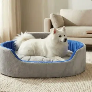 Bolster Orthopedic Dog Bed, dog bed, premium dog bed, orthopedic dog bed, soft dog bed, pet bed for dogs, comfortable dog bed, washable dog bed, dog bed with cushion, premium orthopedic dog bed for large dogs, soft and comfortable dog bed with cushion, durable dog bed with PU foam support, luxury pet bed for small and medium dogs, breathable dog bed for summer and winter, stylish modern dog bed for home, lightweight dog bed easy to carry, dog bed with bone shape pillow, buy dog bed online India, best dog bed for home use, affordable premium dog bed, high quality pet bed India, dog bed under budget, cozy dog bed, luxury pet comfort bed, soft plush dog bed, designer dog bed, pet sleeping bed, dog sofa bed, dog lounger bed, pet sofa bed, round dog bed, donut dog bed, calming dog bed, anti anxiety dog bed, raised edge dog bed, bolster dog bed, dog bed with side support, dog bed with high walls, puppy bed, small dog bed, medium dog bed, large dog bed, extra large dog bed, indoor dog bed, home pet bed, dog sleeping cushion, thick padded dog bed, fluffy dog bed, soft foam dog bed, PU foam dog bed, fiber filled dog bed, eco friendly dog bed, skin friendly dog bed, hypoallergenic dog bed, non toxic pet bed, durable pet bedding, long lasting dog bed, tear resistant dog bed, chew resistant dog bed, easy to clean dog bed, machine washable pet bed, removable cover dog bed, portable dog bed, travel dog bed, foldable dog bed, lightweight pet bed, luxury dog sofa, premium pet mattress, designer pet furniture, modern pet bed, aesthetic dog bed, comfortable pet mattress, pet relaxation bed, cozy pet nest, warm dog bed for winter, cool breathable dog bed for summer, all season dog bed, anti slip base dog bed, waterproof dog bed, indoor luxury pet bed, dog bed for crate, dog bed for living room, pet accessories dog bed, best selling dog bed, trending pet products, affordable pet bedding India, online pet supplies India