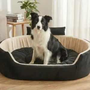 Bolster Orthopedic Dog Bed, dog bed, premium dog bed, orthopedic dog bed, soft dog bed, pet bed for dogs, comfortable dog bed, washable dog bed, dog bed with cushion, premium orthopedic dog bed for large dogs, soft and comfortable dog bed with cushion, durable dog bed with PU foam support, luxury pet bed for small and medium dogs, breathable dog bed for summer and winter, stylish modern dog bed for home, lightweight dog bed easy to carry, dog bed with bone shape pillow, buy dog bed online India, best dog bed for home use, affordable premium dog bed, high quality pet bed India, dog bed under budget, cozy dog bed, luxury pet comfort bed, soft plush dog bed, designer dog bed, pet sleeping bed, dog sofa bed, dog lounger bed, pet sofa bed, round dog bed, donut dog bed, calming dog bed, anti anxiety dog bed, raised edge dog bed, bolster dog bed, dog bed with side support, dog bed with high walls, puppy bed, small dog bed, medium dog bed, large dog bed, extra large dog bed, indoor dog bed, home pet bed, dog sleeping cushion, thick padded dog bed, fluffy dog bed, soft foam dog bed, PU foam dog bed, fiber filled dog bed, eco friendly dog bed, skin friendly dog bed, hypoallergenic dog bed, non toxic pet bed, durable pet bedding, long lasting dog bed, tear resistant dog bed, chew resistant dog bed, easy to clean dog bed, machine washable pet bed, removable cover dog bed, portable dog bed, travel dog bed, foldable dog bed, lightweight pet bed, luxury dog sofa, premium pet mattress, designer pet furniture, modern pet bed, aesthetic dog bed, comfortable pet mattress, pet relaxation bed, cozy pet nest, warm dog bed for winter, cool breathable dog bed for summer, all season dog bed, anti slip base dog bed, waterproof dog bed, indoor luxury pet bed, dog bed for crate, dog bed for living room, pet accessories dog bed, best selling dog bed, trending pet products, affordable pet bedding India, online pet supplies India