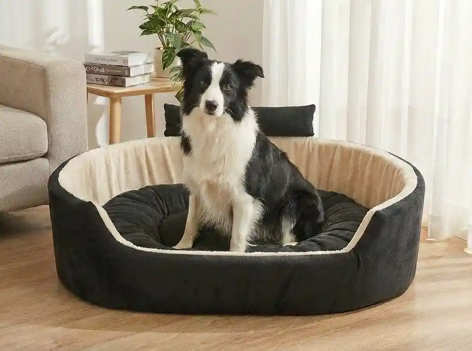 Black White Dog Bed With Collar Bolster Orthopedic Dog Bed, dog bed, premium dog bed, orthopedic dog bed, soft dog bed, pet bed for dogs, comfortable dog bed, washable dog bed, dog bed with cushion, premium orthopedic dog bed for large dogs, soft and comfortable dog bed with cushion, durable dog bed with PU foam support, luxury pet bed for small and medium dogs, breathable dog bed for summer and winter, stylish modern dog bed for home, lightweight dog bed easy to carry, dog bed with bone shape pillow, buy dog bed online India, best dog bed for home use, affordable premium dog bed, high quality pet bed India, dog bed under budget, cozy dog bed, luxury pet comfort bed, soft plush dog bed, designer dog bed, pet sleeping bed, dog sofa bed, dog lounger bed, pet sofa bed, round dog bed, donut dog bed, calming dog bed, anti anxiety dog bed, raised edge dog bed, bolster dog bed, dog bed with side support, dog bed with high walls, puppy bed, small dog bed, medium dog bed, large dog bed, extra large dog bed, indoor dog bed, home pet bed, dog sleeping cushion, thick padded dog bed, fluffy dog bed, soft foam dog bed, PU foam dog bed, fiber filled dog bed, eco friendly dog bed, skin friendly dog bed, hypoallergenic dog bed, non toxic pet bed, durable pet bedding, long lasting dog bed, tear resistant dog bed, chew resistant dog bed, easy to clean dog bed, machine washable pet bed, removable cover dog bed, portable dog bed, travel dog bed, foldable dog bed, lightweight pet bed, luxury dog sofa, premium pet mattress, designer pet furniture, modern pet bed, aesthetic dog bed, comfortable pet mattress, pet relaxation bed, cozy pet nest, warm dog bed for winter, cool breathable dog bed for summer, all season dog bed, anti slip base dog bed, waterproof dog bed, indoor luxury pet bed, dog bed for crate, dog bed for living room, pet accessories dog bed, best selling dog bed, trending pet products, affordable pet bedding India, online pet supplies India