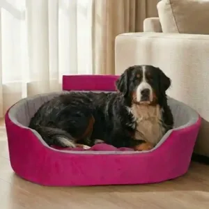 Bolster Orthopedic Dog Bed, dog bed, premium dog bed, orthopedic dog bed, soft dog bed, pet bed for dogs, comfortable dog bed, washable dog bed, dog bed with cushion, premium orthopedic dog bed for large dogs, soft and comfortable dog bed with cushion, durable dog bed with PU foam support, luxury pet bed for small and medium dogs, breathable dog bed for summer and winter, stylish modern dog bed for home, lightweight dog bed easy to carry, dog bed with bone shape pillow, buy dog bed online India, best dog bed for home use, affordable premium dog bed, high quality pet bed India, dog bed under budget, cozy dog bed, luxury pet comfort bed, soft plush dog bed, designer dog bed, pet sleeping bed, dog sofa bed, dog lounger bed, pet sofa bed, round dog bed, donut dog bed, calming dog bed, anti anxiety dog bed, raised edge dog bed, bolster dog bed, dog bed with side support, dog bed with high walls, puppy bed, small dog bed, medium dog bed, large dog bed, extra large dog bed, indoor dog bed, home pet bed, dog sleeping cushion, thick padded dog bed, fluffy dog bed, soft foam dog bed, PU foam dog bed, fiber filled dog bed, eco friendly dog bed, skin friendly dog bed, hypoallergenic dog bed, non toxic pet bed, durable pet bedding, long lasting dog bed, tear resistant dog bed, chew resistant dog bed, easy to clean dog bed, machine washable pet bed, removable cover dog bed, portable dog bed, travel dog bed, foldable dog bed, lightweight pet bed, luxury dog sofa, premium pet mattress, designer pet furniture, modern pet bed, aesthetic dog bed, comfortable pet mattress, pet relaxation bed, cozy pet nest, warm dog bed for winter, cool breathable dog bed for summer, all season dog bed, anti slip base dog bed, waterproof dog bed, indoor luxury pet bed, dog bed for crate, dog bed for living room, pet accessories dog bed, best selling dog bed, trending pet products, affordable pet bedding India, online pet supplies India