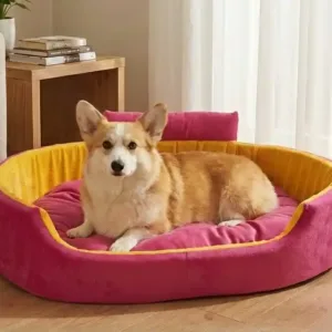 Bolster Orthopedic Dog Bed, dog bed, premium dog bed, orthopedic dog bed, soft dog bed, pet bed for dogs, comfortable dog bed, washable dog bed, dog bed with cushion, premium orthopedic dog bed for large dogs, soft and comfortable dog bed with cushion, durable dog bed with PU foam support, luxury pet bed for small and medium dogs, breathable dog bed for summer and winter, stylish modern dog bed for home, lightweight dog bed easy to carry, dog bed with bone shape pillow, buy dog bed online India, best dog bed for home use, affordable premium dog bed, high quality pet bed India, dog bed under budget, cozy dog bed, luxury pet comfort bed, soft plush dog bed, designer dog bed, pet sleeping bed, dog sofa bed, dog lounger bed, pet sofa bed, round dog bed, donut dog bed, calming dog bed, anti anxiety dog bed, raised edge dog bed, bolster dog bed, dog bed with side support, dog bed with high walls, puppy bed, small dog bed, medium dog bed, large dog bed, extra large dog bed, indoor dog bed, home pet bed, dog sleeping cushion, thick padded dog bed, fluffy dog bed, soft foam dog bed, PU foam dog bed, fiber filled dog bed, eco friendly dog bed, skin friendly dog bed, hypoallergenic dog bed, non toxic pet bed, durable pet bedding, long lasting dog bed, tear resistant dog bed, chew resistant dog bed, easy to clean dog bed, machine washable pet bed, removable cover dog bed, portable dog bed, travel dog bed, foldable dog bed, lightweight pet bed, luxury dog sofa, premium pet mattress, designer pet furniture, modern pet bed, aesthetic dog bed, comfortable pet mattress, pet relaxation bed, cozy pet nest, warm dog bed for winter, cool breathable dog bed for summer, all season dog bed, anti slip base dog bed, waterproof dog bed, indoor luxury pet bed, dog bed for crate, dog bed for living room, pet accessories dog bed, best selling dog bed, trending pet products, affordable pet bedding India, online pet supplies India
