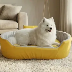 Bolster Orthopedic Dog Bed, dog bed, premium dog bed, orthopedic dog bed, soft dog bed, pet bed for dogs, comfortable dog bed, washable dog bed, dog bed with cushion, premium orthopedic dog bed for large dogs, soft and comfortable dog bed with cushion, durable dog bed with PU foam support, luxury pet bed for small and medium dogs, breathable dog bed for summer and winter, stylish modern dog bed for home, lightweight dog bed easy to carry, dog bed with bone shape pillow, buy dog bed online India, best dog bed for home use, affordable premium dog bed, high quality pet bed India, dog bed under budget, cozy dog bed, luxury pet comfort bed, soft plush dog bed, designer dog bed, pet sleeping bed, dog sofa bed, dog lounger bed, pet sofa bed, round dog bed, donut dog bed, calming dog bed, anti anxiety dog bed, raised edge dog bed, bolster dog bed, dog bed with side support, dog bed with high walls, puppy bed, small dog bed, medium dog bed, large dog bed, extra large dog bed, indoor dog bed, home pet bed, dog sleeping cushion, thick padded dog bed, fluffy dog bed, soft foam dog bed, PU foam dog bed, fiber filled dog bed, eco friendly dog bed, skin friendly dog bed, hypoallergenic dog bed, non toxic pet bed, durable pet bedding, long lasting dog bed, tear resistant dog bed, chew resistant dog bed, easy to clean dog bed, machine washable pet bed, removable cover dog bed, portable dog bed, travel dog bed, foldable dog bed, lightweight pet bed, luxury dog sofa, premium pet mattress, designer pet furniture, modern pet bed, aesthetic dog bed, comfortable pet mattress, pet relaxation bed, cozy pet nest, warm dog bed for winter, cool breathable dog bed for summer, all season dog bed, anti slip base dog bed, waterproof dog bed, indoor luxury pet bed, dog bed for crate, dog bed for living room, pet accessories dog bed, best selling dog bed, trending pet products, affordable pet bedding India, online pet supplies India