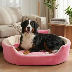 Bolster Orthopedic Dog Bed, dog bed, premium dog bed, orthopedic dog bed, soft dog bed, pet bed for dogs, comfortable dog bed, washable dog bed, dog bed with cushion, premium orthopedic dog bed for large dogs, soft and comfortable dog bed with cushion, durable dog bed with PU foam support, luxury pet bed for small and medium dogs, breathable dog bed for summer and winter, stylish modern dog bed for home, lightweight dog bed easy to carry, dog bed with bone shape pillow, buy dog bed online India, best dog bed for home use, affordable premium dog bed, high quality pet bed India, dog bed under budget, cozy dog bed, luxury pet comfort bed, soft plush dog bed, designer dog bed, pet sleeping bed, dog sofa bed, dog lounger bed, pet sofa bed, round dog bed, donut dog bed, calming dog bed, anti anxiety dog bed, raised edge dog bed, bolster dog bed, dog bed with side support, dog bed with high walls, puppy bed, small dog bed, medium dog bed, large dog bed, extra large dog bed, indoor dog bed, home pet bed, dog sleeping cushion, thick padded dog bed, fluffy dog bed, soft foam dog bed, PU foam dog bed, fiber filled dog bed, eco friendly dog bed, skin friendly dog bed, hypoallergenic dog bed, non toxic pet bed, durable pet bedding, long lasting dog bed, tear resistant dog bed, chew resistant dog bed, easy to clean dog bed, machine washable pet bed, removable cover dog bed, portable dog bed, travel dog bed, foldable dog bed, lightweight pet bed, luxury dog sofa, premium pet mattress, designer pet furniture, modern pet bed, aesthetic dog bed, comfortable pet mattress, pet relaxation bed, cozy pet nest, warm dog bed for winter, cool breathable dog bed for summer, all season dog bed, anti slip base dog bed, waterproof dog bed, indoor luxury pet bed, dog bed for crate, dog bed for living room, pet accessories dog bed, best selling dog bed, trending pet products, affordable pet bedding India, online pet supplies India