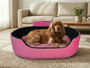 Bolster Orthopedic Dog Bed, dog bed, premium dog bed, orthopedic dog bed, soft dog bed, pet bed for dogs, comfortable dog bed, washable dog bed, dog bed with cushion, premium orthopedic dog bed for large dogs, soft and comfortable dog bed with cushion, durable dog bed with PU foam support, luxury pet bed for small and medium dogs, breathable dog bed for summer and winter, stylish modern dog bed for home, lightweight dog bed easy to carry, dog bed with bone shape pillow, buy dog bed online India, best dog bed for home use, affordable premium dog bed, high quality pet bed India, dog bed under budget, cozy dog bed, luxury pet comfort bed, soft plush dog bed, designer dog bed, pet sleeping bed, dog sofa bed, dog lounger bed, pet sofa bed, round dog bed, donut dog bed, calming dog bed, anti anxiety dog bed, raised edge dog bed, bolster dog bed, dog bed with side support, dog bed with high walls, puppy bed, small dog bed, medium dog bed, large dog bed, extra large dog bed, indoor dog bed, home pet bed, dog sleeping cushion, thick padded dog bed, fluffy dog bed, soft foam dog bed, PU foam dog bed, fiber filled dog bed, eco friendly dog bed, skin friendly dog bed, hypoallergenic dog bed, non toxic pet bed, durable pet bedding, long lasting dog bed, tear resistant dog bed, chew resistant dog bed, easy to clean dog bed, machine washable pet bed, removable cover dog bed, portable dog bed, travel dog bed, foldable dog bed, lightweight pet bed, luxury dog sofa, premium pet mattress, designer pet furniture, modern pet bed, aesthetic dog bed, comfortable pet mattress, pet relaxation bed, cozy pet nest, warm dog bed for winter, cool breathable dog bed for summer, all season dog bed, anti slip base dog bed, waterproof dog bed, indoor luxury pet bed, dog bed for crate, dog bed for living room, pet accessories dog bed, best selling dog bed, trending pet products, affordable pet bedding India, online pet supplies India