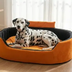 Bolster Orthopedic Dog Bed, dog bed, premium dog bed, orthopedic dog bed, soft dog bed, pet bed for dogs, comfortable dog bed, washable dog bed, dog bed with cushion, premium orthopedic dog bed for large dogs, soft and comfortable dog bed with cushion, durable dog bed with PU foam support, luxury pet bed for small and medium dogs, breathable dog bed for summer and winter, stylish modern dog bed for home, lightweight dog bed easy to carry, dog bed with bone shape pillow, buy dog bed online India, best dog bed for home use, affordable premium dog bed, high quality pet bed India, dog bed under budget, cozy dog bed, luxury pet comfort bed, soft plush dog bed, designer dog bed, pet sleeping bed, dog sofa bed, dog lounger bed, pet sofa bed, round dog bed, donut dog bed, calming dog bed, anti anxiety dog bed, raised edge dog bed, bolster dog bed, dog bed with side support, dog bed with high walls, puppy bed, small dog bed, medium dog bed, large dog bed, extra large dog bed, indoor dog bed, home pet bed, dog sleeping cushion, thick padded dog bed, fluffy dog bed, soft foam dog bed, PU foam dog bed, fiber filled dog bed, eco friendly dog bed, skin friendly dog bed, hypoallergenic dog bed, non toxic pet bed, durable pet bedding, long lasting dog bed, tear resistant dog bed, chew resistant dog bed, easy to clean dog bed, machine washable pet bed, removable cover dog bed, portable dog bed, travel dog bed, foldable dog bed, lightweight pet bed, luxury dog sofa, premium pet mattress, designer pet furniture, modern pet bed, aesthetic dog bed, comfortable pet mattress, pet relaxation bed, cozy pet nest, warm dog bed for winter, cool breathable dog bed for summer, all season dog bed, anti slip base dog bed, waterproof dog bed, indoor luxury pet bed, dog bed for crate, dog bed for living room, pet accessories dog bed, best selling dog bed, trending pet products, affordable pet bedding India, online pet supplies India
