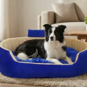 Bolster Orthopedic Dog Bed, dog bed, premium dog bed, orthopedic dog bed, soft dog bed, pet bed for dogs, comfortable dog bed, washable dog bed, dog bed with cushion, premium orthopedic dog bed for large dogs, soft and comfortable dog bed with cushion, durable dog bed with PU foam support, luxury pet bed for small and medium dogs, breathable dog bed for summer and winter, stylish modern dog bed for home, lightweight dog bed easy to carry, dog bed with bone shape pillow, buy dog bed online India, best dog bed for home use, affordable premium dog bed, high quality pet bed India, dog bed under budget, cozy dog bed, luxury pet comfort bed, soft plush dog bed, designer dog bed, pet sleeping bed, dog sofa bed, dog lounger bed, pet sofa bed, round dog bed, donut dog bed, calming dog bed, anti anxiety dog bed, raised edge dog bed, bolster dog bed, dog bed with side support, dog bed with high walls, puppy bed, small dog bed, medium dog bed, large dog bed, extra large dog bed, indoor dog bed, home pet bed, dog sleeping cushion, thick padded dog bed, fluffy dog bed, soft foam dog bed, PU foam dog bed, fiber filled dog bed, eco friendly dog bed, skin friendly dog bed, hypoallergenic dog bed, non toxic pet bed, durable pet bedding, long lasting dog bed, tear resistant dog bed, chew resistant dog bed, easy to clean dog bed, machine washable pet bed, removable cover dog bed, portable dog bed, travel dog bed, foldable dog bed, lightweight pet bed, luxury dog sofa, premium pet mattress, designer pet furniture, modern pet bed, aesthetic dog bed, comfortable pet mattress, pet relaxation bed, cozy pet nest, warm dog bed for winter, cool breathable dog bed for summer, all season dog bed, anti slip base dog bed, waterproof dog bed, indoor luxury pet bed, dog bed for crate, dog bed for living room, pet accessories dog bed, best selling dog bed, trending pet products, affordable pet bedding India, online pet supplies India