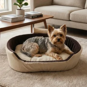 Bolster Orthopedic Dog Bed, dog bed, premium dog bed, orthopedic dog bed, soft dog bed, pet bed for dogs, comfortable dog bed, washable dog bed, dog bed with cushion, premium orthopedic dog bed for large dogs, soft and comfortable dog bed with cushion, durable dog bed with PU foam support, luxury pet bed for small and medium dogs, breathable dog bed for summer and winter, stylish modern dog bed for home, lightweight dog bed easy to carry, dog bed with bone shape pillow, buy dog bed online India, best dog bed for home use, affordable premium dog bed, high quality pet bed India, dog bed under budget, cozy dog bed, luxury pet comfort bed, soft plush dog bed, designer dog bed, pet sleeping bed, dog sofa bed, dog lounger bed, pet sofa bed, round dog bed, donut dog bed, calming dog bed, anti anxiety dog bed, raised edge dog bed, bolster dog bed, dog bed with side support, dog bed with high walls, puppy bed, small dog bed, medium dog bed, large dog bed, extra large dog bed, indoor dog bed, home pet bed, dog sleeping cushion, thick padded dog bed, fluffy dog bed, soft foam dog bed, PU foam dog bed, fiber filled dog bed, eco friendly dog bed, skin friendly dog bed, hypoallergenic dog bed, non toxic pet bed, durable pet bedding, long lasting dog bed, tear resistant dog bed, chew resistant dog bed, easy to clean dog bed, machine washable pet bed, removable cover dog bed, portable dog bed, travel dog bed, foldable dog bed, lightweight pet bed, luxury dog sofa, premium pet mattress, designer pet furniture, modern pet bed, aesthetic dog bed, comfortable pet mattress, pet relaxation bed, cozy pet nest, warm dog bed for winter, cool breathable dog bed for summer, all season dog bed, anti slip base dog bed, waterproof dog bed, indoor luxury pet bed, dog bed for crate, dog bed for living room, pet accessories dog bed, best selling dog bed, trending pet products, affordable pet bedding India, online pet supplies India