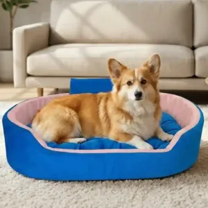Bolster Orthopedic Dog Bed, dog bed, premium dog bed, orthopedic dog bed, soft dog bed, pet bed for dogs, comfortable dog bed, washable dog bed, dog bed with cushion, premium orthopedic dog bed for large dogs, soft and comfortable dog bed with cushion, durable dog bed with PU foam support, luxury pet bed for small and medium dogs, breathable dog bed for summer and winter, stylish modern dog bed for home, lightweight dog bed easy to carry, dog bed with bone shape pillow, buy dog bed online India, best dog bed for home use, affordable premium dog bed, high quality pet bed India, dog bed under budget, cozy dog bed, luxury pet comfort bed, soft plush dog bed, designer dog bed, pet sleeping bed, dog sofa bed, dog lounger bed, pet sofa bed, round dog bed, donut dog bed, calming dog bed, anti anxiety dog bed, raised edge dog bed, bolster dog bed, dog bed with side support, dog bed with high walls, puppy bed, small dog bed, medium dog bed, large dog bed, extra large dog bed, indoor dog bed, home pet bed, dog sleeping cushion, thick padded dog bed, fluffy dog bed, soft foam dog bed, PU foam dog bed, fiber filled dog bed, eco friendly dog bed, skin friendly dog bed, hypoallergenic dog bed, non toxic pet bed, durable pet bedding, long lasting dog bed, tear resistant dog bed, chew resistant dog bed, easy to clean dog bed, machine washable pet bed, removable cover dog bed, portable dog bed, travel dog bed, foldable dog bed, lightweight pet bed, luxury dog sofa, premium pet mattress, designer pet furniture, modern pet bed, aesthetic dog bed, comfortable pet mattress, pet relaxation bed, cozy pet nest, warm dog bed for winter, cool breathable dog bed for summer, all season dog bed, anti slip base dog bed, waterproof dog bed, indoor luxury pet bed, dog bed for crate, dog bed for living room, pet accessories dog bed, best selling dog bed, trending pet products, affordable pet bedding India, online pet supplies India