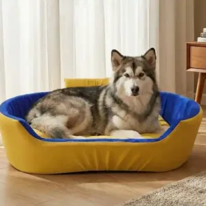 Bolster Orthopedic Dog Bed, dog bed, premium dog bed, orthopedic dog bed, soft dog bed, pet bed for dogs, comfortable dog bed, washable dog bed, dog bed with cushion, premium orthopedic dog bed for large dogs, soft and comfortable dog bed with cushion, durable dog bed with PU foam support, luxury pet bed for small and medium dogs, breathable dog bed for summer and winter, stylish modern dog bed for home, lightweight dog bed easy to carry, dog bed with bone shape pillow, buy dog bed online India, best dog bed for home use, affordable premium dog bed, high quality pet bed India, dog bed under budget, cozy dog bed, luxury pet comfort bed, soft plush dog bed, designer dog bed, pet sleeping bed, dog sofa bed, dog lounger bed, pet sofa bed, round dog bed, donut dog bed, calming dog bed, anti anxiety dog bed, raised edge dog bed, bolster dog bed, dog bed with side support, dog bed with high walls, puppy bed, small dog bed, medium dog bed, large dog bed, extra large dog bed, indoor dog bed, home pet bed, dog sleeping cushion, thick padded dog bed, fluffy dog bed, soft foam dog bed, PU foam dog bed, fiber filled dog bed, eco friendly dog bed, skin friendly dog bed, hypoallergenic dog bed, non toxic pet bed, durable pet bedding, long lasting dog bed, tear resistant dog bed, chew resistant dog bed, easy to clean dog bed, machine washable pet bed, removable cover dog bed, portable dog bed, travel dog bed, foldable dog bed, lightweight pet bed, luxury dog sofa, premium pet mattress, designer pet furniture, modern pet bed, aesthetic dog bed, comfortable pet mattress, pet relaxation bed, cozy pet nest, warm dog bed for winter, cool breathable dog bed for summer, all season dog bed, anti slip base dog bed, waterproof dog bed, indoor luxury pet bed, dog bed for crate, dog bed for living room, pet accessories dog bed, best selling dog bed, trending pet products, affordable pet bedding India, online pet supplies India