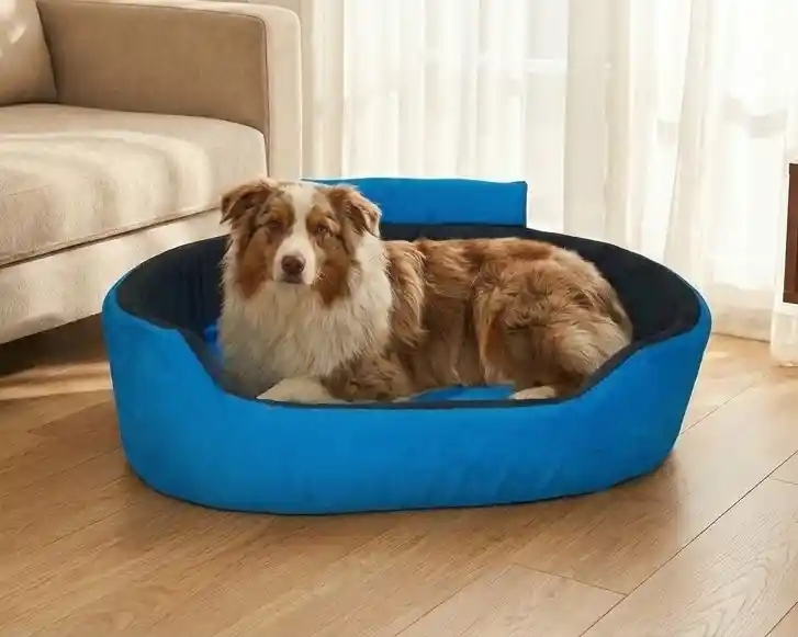 Skyblue Black Dog Bed With Collar Bolster Orthopedic Dog Bed, dog bed, premium dog bed, orthopedic dog bed, soft dog bed, pet bed for dogs, comfortable dog bed, washable dog bed, dog bed with cushion, premium orthopedic dog bed for large dogs, soft and comfortable dog bed with cushion, durable dog bed with PU foam support, luxury pet bed for small and medium dogs, breathable dog bed for summer and winter, stylish modern dog bed for home, lightweight dog bed easy to carry, dog bed with bone shape pillow, buy dog bed online India, best dog bed for home use, affordable premium dog bed, high quality pet bed India, dog bed under budget, cozy dog bed, luxury pet comfort bed, soft plush dog bed, designer dog bed, pet sleeping bed, dog sofa bed, dog lounger bed, pet sofa bed, round dog bed, donut dog bed, calming dog bed, anti anxiety dog bed, raised edge dog bed, bolster dog bed, dog bed with side support, dog bed with high walls, puppy bed, small dog bed, medium dog bed, large dog bed, extra large dog bed, indoor dog bed, home pet bed, dog sleeping cushion, thick padded dog bed, fluffy dog bed, soft foam dog bed, PU foam dog bed, fiber filled dog bed, eco friendly dog bed, skin friendly dog bed, hypoallergenic dog bed, non toxic pet bed, durable pet bedding, long lasting dog bed, tear resistant dog bed, chew resistant dog bed, easy to clean dog bed, machine washable pet bed, removable cover dog bed, portable dog bed, travel dog bed, foldable dog bed, lightweight pet bed, luxury dog sofa, premium pet mattress, designer pet furniture, modern pet bed, aesthetic dog bed, comfortable pet mattress, pet relaxation bed, cozy pet nest, warm dog bed for winter, cool breathable dog bed for summer, all season dog bed, anti slip base dog bed, waterproof dog bed, indoor luxury pet bed, dog bed for crate, dog bed for living room, pet accessories dog bed, best selling dog bed, trending pet products, affordable pet bedding India, online pet supplies India