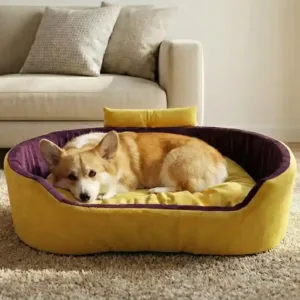 Bolster Orthopedic Dog Bed, dog bed, premium dog bed, orthopedic dog bed, soft dog bed, pet bed for dogs, comfortable dog bed, washable dog bed, dog bed with cushion, premium orthopedic dog bed for large dogs, soft and comfortable dog bed with cushion, durable dog bed with PU foam support, luxury pet bed for small and medium dogs, breathable dog bed for summer and winter, stylish modern dog bed for home, lightweight dog bed easy to carry, dog bed with bone shape pillow, buy dog bed online India, best dog bed for home use, affordable premium dog bed, high quality pet bed India, dog bed under budget, cozy dog bed, luxury pet comfort bed, soft plush dog bed, designer dog bed, pet sleeping bed, dog sofa bed, dog lounger bed, pet sofa bed, round dog bed, donut dog bed, calming dog bed, anti anxiety dog bed, raised edge dog bed, bolster dog bed, dog bed with side support, dog bed with high walls, puppy bed, small dog bed, medium dog bed, large dog bed, extra large dog bed, indoor dog bed, home pet bed, dog sleeping cushion, thick padded dog bed, fluffy dog bed, soft foam dog bed, PU foam dog bed, fiber filled dog bed, eco friendly dog bed, skin friendly dog bed, hypoallergenic dog bed, non toxic pet bed, durable pet bedding, long lasting dog bed, tear resistant dog bed, chew resistant dog bed, easy to clean dog bed, machine washable pet bed, removable cover dog bed, portable dog bed, travel dog bed, foldable dog bed, lightweight pet bed, luxury dog sofa, premium pet mattress, designer pet furniture, modern pet bed, aesthetic dog bed, comfortable pet mattress, pet relaxation bed, cozy pet nest, warm dog bed for winter, cool breathable dog bed for summer, all season dog bed, anti slip base dog bed, waterproof dog bed, indoor luxury pet bed, dog bed for crate, dog bed for living room, pet accessories dog bed, best selling dog bed, trending pet products, affordable pet bedding India, online pet supplies India