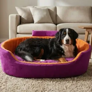 Bolster Orthopedic Dog Bed, dog bed, premium dog bed, orthopedic dog bed, soft dog bed, pet bed for dogs, comfortable dog bed, washable dog bed, dog bed with cushion, premium orthopedic dog bed for large dogs, soft and comfortable dog bed with cushion, durable dog bed with PU foam support, luxury pet bed for small and medium dogs, breathable dog bed for summer and winter, stylish modern dog bed for home, lightweight dog bed easy to carry, dog bed with bone shape pillow, buy dog bed online India, best dog bed for home use, affordable premium dog bed, high quality pet bed India, dog bed under budget, cozy dog bed, luxury pet comfort bed, soft plush dog bed, designer dog bed, pet sleeping bed, dog sofa bed, dog lounger bed, pet sofa bed, round dog bed, donut dog bed, calming dog bed, anti anxiety dog bed, raised edge dog bed, bolster dog bed, dog bed with side support, dog bed with high walls, puppy bed, small dog bed, medium dog bed, large dog bed, extra large dog bed, indoor dog bed, home pet bed, dog sleeping cushion, thick padded dog bed, fluffy dog bed, soft foam dog bed, PU foam dog bed, fiber filled dog bed, eco friendly dog bed, skin friendly dog bed, hypoallergenic dog bed, non toxic pet bed, durable pet bedding, long lasting dog bed, tear resistant dog bed, chew resistant dog bed, easy to clean dog bed, machine washable pet bed, removable cover dog bed, portable dog bed, travel dog bed, foldable dog bed, lightweight pet bed, luxury dog sofa, premium pet mattress, designer pet furniture, modern pet bed, aesthetic dog bed, comfortable pet mattress, pet relaxation bed, cozy pet nest, warm dog bed for winter, cool breathable dog bed for summer, all season dog bed, anti slip base dog bed, waterproof dog bed, indoor luxury pet bed, dog bed for crate, dog bed for living room, pet accessories dog bed, best selling dog bed, trending pet products, affordable pet bedding India, online pet supplies India