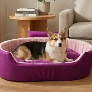 Bolster Orthopedic Dog Bed, dog bed, premium dog bed, orthopedic dog bed, soft dog bed, pet bed for dogs, comfortable dog bed, washable dog bed, dog bed with cushion, premium orthopedic dog bed for large dogs, soft and comfortable dog bed with cushion, durable dog bed with PU foam support, luxury pet bed for small and medium dogs, breathable dog bed for summer and winter, stylish modern dog bed for home, lightweight dog bed easy to carry, dog bed with bone shape pillow, buy dog bed online India, best dog bed for home use, affordable premium dog bed, high quality pet bed India, dog bed under budget, cozy dog bed, luxury pet comfort bed, soft plush dog bed, designer dog bed, pet sleeping bed, dog sofa bed, dog lounger bed, pet sofa bed, round dog bed, donut dog bed, calming dog bed, anti anxiety dog bed, raised edge dog bed, bolster dog bed, dog bed with side support, dog bed with high walls, puppy bed, small dog bed, medium dog bed, large dog bed, extra large dog bed, indoor dog bed, home pet bed, dog sleeping cushion, thick padded dog bed, fluffy dog bed, soft foam dog bed, PU foam dog bed, fiber filled dog bed, eco friendly dog bed, skin friendly dog bed, hypoallergenic dog bed, non toxic pet bed, durable pet bedding, long lasting dog bed, tear resistant dog bed, chew resistant dog bed, easy to clean dog bed, machine washable pet bed, removable cover dog bed, portable dog bed, travel dog bed, foldable dog bed, lightweight pet bed, luxury dog sofa, premium pet mattress, designer pet furniture, modern pet bed, aesthetic dog bed, comfortable pet mattress, pet relaxation bed, cozy pet nest, warm dog bed for winter, cool breathable dog bed for summer, all season dog bed, anti slip base dog bed, waterproof dog bed, indoor luxury pet bed, dog bed for crate, dog bed for living room, pet accessories dog bed, best selling dog bed, trending pet products, affordable pet bedding India, online pet supplies India