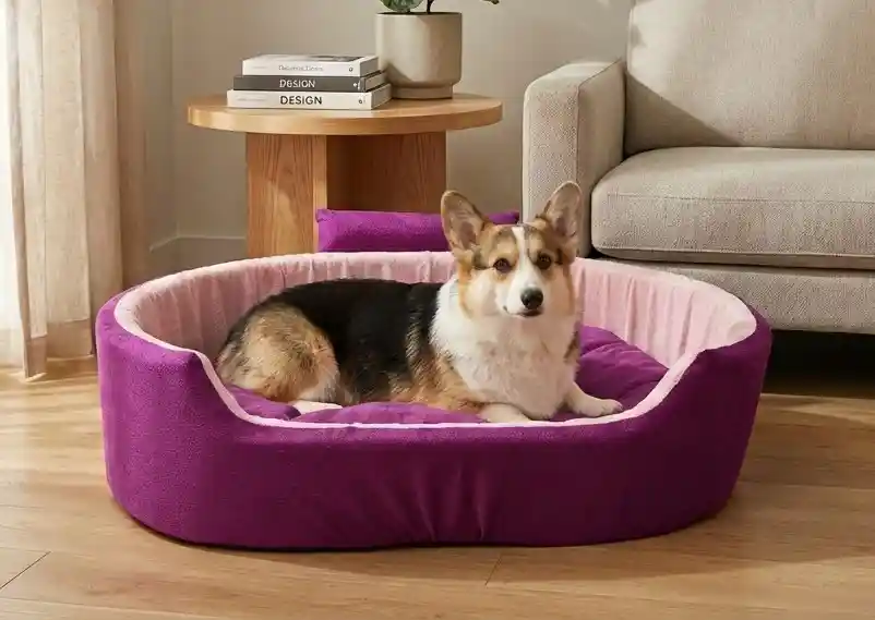 Purple Baby Pink Dog Bed With Collar Bolster Orthopedic Dog Bed, dog bed, premium dog bed, orthopedic dog bed, soft dog bed, pet bed for dogs, comfortable dog bed, washable dog bed, dog bed with cushion, premium orthopedic dog bed for large dogs, soft and comfortable dog bed with cushion, durable dog bed with PU foam support, luxury pet bed for small and medium dogs, breathable dog bed for summer and winter, stylish modern dog bed for home, lightweight dog bed easy to carry, dog bed with bone shape pillow, buy dog bed online India, best dog bed for home use, affordable premium dog bed, high quality pet bed India, dog bed under budget, cozy dog bed, luxury pet comfort bed, soft plush dog bed, designer dog bed, pet sleeping bed, dog sofa bed, dog lounger bed, pet sofa bed, round dog bed, donut dog bed, calming dog bed, anti anxiety dog bed, raised edge dog bed, bolster dog bed, dog bed with side support, dog bed with high walls, puppy bed, small dog bed, medium dog bed, large dog bed, extra large dog bed, indoor dog bed, home pet bed, dog sleeping cushion, thick padded dog bed, fluffy dog bed, soft foam dog bed, PU foam dog bed, fiber filled dog bed, eco friendly dog bed, skin friendly dog bed, hypoallergenic dog bed, non toxic pet bed, durable pet bedding, long lasting dog bed, tear resistant dog bed, chew resistant dog bed, easy to clean dog bed, machine washable pet bed, removable cover dog bed, portable dog bed, travel dog bed, foldable dog bed, lightweight pet bed, luxury dog sofa, premium pet mattress, designer pet furniture, modern pet bed, aesthetic dog bed, comfortable pet mattress, pet relaxation bed, cozy pet nest, warm dog bed for winter, cool breathable dog bed for summer, all season dog bed, anti slip base dog bed, waterproof dog bed, indoor luxury pet bed, dog bed for crate, dog bed for living room, pet accessories dog bed, best selling dog bed, trending pet products, affordable pet bedding India, online pet supplies India
