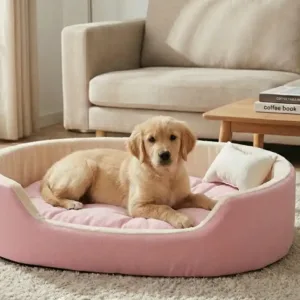 dog bed, premium dog bed, orthopedic dog bed, soft dog bed, pet bed for dogs, comfortable dog bed, washable dog bed, dog bed with cushion, premium orthopedic dog bed for large dogs, soft and comfortable dog bed with cushion, durable dog bed with PU foam support, luxury pet bed for small and medium dogs, breathable dog bed for summer and winter, stylish modern dog bed for home, lightweight dog bed easy to carry, dog bed with bone shape pillow, buy dog bed online India, best dog bed for home use, affordable premium dog bed, high quality pet bed India, dog bed under budget, cozy dog bed, luxury pet comfort bed, soft plush dog bed, designer dog bed, pet sleeping bed, dog sofa bed, dog lounger bed, pet sofa bed, round dog bed, donut dog bed, calming dog bed, anti anxiety dog bed, raised edge dog bed, bolster dog bed, dog bed with side support, dog bed with high walls, puppy bed, small dog bed, medium dog bed, large dog bed, extra large dog bed, indoor dog bed, home pet bed, dog sleeping cushion, thick padded dog bed, fluffy dog bed, soft foam dog bed, PU foam dog bed, fiber filled dog bed, eco friendly dog bed, skin friendly dog bed, hypoallergenic dog bed, non toxic pet bed, durable pet bedding, long lasting dog bed, tear resistant dog bed, chew resistant dog bed, easy to clean dog bed, machine washable pet bed, removable cover dog bed, portable dog bed, travel dog bed, foldable dog bed, lightweight pet bed, luxury dog sofa, premium pet mattress, designer pet furniture, modern pet bed, aesthetic dog bed, comfortable pet mattress, pet relaxation bed, cozy pet nest, warm dog bed for winter, cool breathable dog bed for summer, all season dog bed, anti slip base dog bed, waterproof dog bed, indoor luxury pet bed, dog bed for crate, dog bed for living room, pet accessories dog bed, best selling dog bed, trending pet products, affordable pet bedding India, online pet supplies India
