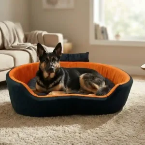 Bolster Orthopedic Dog Bed, dog bed, premium dog bed, orthopedic dog bed, soft dog bed, pet bed for dogs, comfortable dog bed, washable dog bed, dog bed with cushion, premium orthopedic dog bed for large dogs, soft and comfortable dog bed with cushion, durable dog bed with PU foam support, luxury pet bed for small and medium dogs, breathable dog bed for summer and winter, stylish modern dog bed for home, lightweight dog bed easy to carry, dog bed with bone shape pillow, buy dog bed online India, best dog bed for home use, affordable premium dog bed, high quality pet bed India, dog bed under budget, cozy dog bed, luxury pet comfort bed, soft plush dog bed, designer dog bed, pet sleeping bed, dog sofa bed, dog lounger bed, pet sofa bed, round dog bed, donut dog bed, calming dog bed, anti anxiety dog bed, raised edge dog bed, bolster dog bed, dog bed with side support, dog bed with high walls, puppy bed, small dog bed, medium dog bed, large dog bed, extra large dog bed, indoor dog bed, home pet bed, dog sleeping cushion, thick padded dog bed, fluffy dog bed, soft foam dog bed, PU foam dog bed, fiber filled dog bed, eco friendly dog bed, skin friendly dog bed, hypoallergenic dog bed, non toxic pet bed, durable pet bedding, long lasting dog bed, tear resistant dog bed, chew resistant dog bed, easy to clean dog bed, machine washable pet bed, removable cover dog bed, portable dog bed, travel dog bed, foldable dog bed, lightweight pet bed, luxury dog sofa, premium pet mattress, designer pet furniture, modern pet bed, aesthetic dog bed, comfortable pet mattress, pet relaxation bed, cozy pet nest, warm dog bed for winter, cool breathable dog bed for summer, all season dog bed, anti slip base dog bed, waterproof dog bed, indoor luxury pet bed, dog bed for crate, dog bed for living room, pet accessories dog bed, best selling dog bed, trending pet products, affordable pet bedding India, online pet supplies India