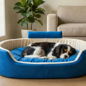 Bolster Orthopedic Dog Bed, dog bed, premium dog bed, orthopedic dog bed, soft dog bed, pet bed for dogs, comfortable dog bed, washable dog bed, dog bed with cushion, premium orthopedic dog bed for large dogs, soft and comfortable dog bed with cushion, durable dog bed with PU foam support, luxury pet bed for small and medium dogs, breathable dog bed for summer and winter, stylish modern dog bed for home, lightweight dog bed easy to carry, dog bed with bone shape pillow, buy dog bed online India, best dog bed for home use, affordable premium dog bed, high quality pet bed India, dog bed under budget, cozy dog bed, luxury pet comfort bed, soft plush dog bed, designer dog bed, pet sleeping bed, dog sofa bed, dog lounger bed, pet sofa bed, round dog bed, donut dog bed, calming dog bed, anti anxiety dog bed, raised edge dog bed, bolster dog bed, dog bed with side support, dog bed with high walls, puppy bed, small dog bed, medium dog bed, large dog bed, extra large dog bed, indoor dog bed, home pet bed, dog sleeping cushion, thick padded dog bed, fluffy dog bed, soft foam dog bed, PU foam dog bed, fiber filled dog bed, eco friendly dog bed, skin friendly dog bed, hypoallergenic dog bed, non toxic pet bed, durable pet bedding, long lasting dog bed, tear resistant dog bed, chew resistant dog bed, easy to clean dog bed, machine washable pet bed, removable cover dog bed, portable dog bed, travel dog bed, foldable dog bed, lightweight pet bed, luxury dog sofa, premium pet mattress, designer pet furniture, modern pet bed, aesthetic dog bed, comfortable pet mattress, pet relaxation bed, cozy pet nest, warm dog bed for winter, cool breathable dog bed for summer, all season dog bed, anti slip base dog bed, waterproof dog bed, indoor luxury pet bed, dog bed for crate, dog bed for living room, pet accessories dog bed, best selling dog bed, trending pet products, affordable pet bedding India, online pet supplies India
