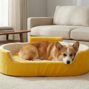 Bolster Orthopedic Dog Bed, dog bed, premium dog bed, orthopedic dog bed, soft dog bed, pet bed for dogs, comfortable dog bed, washable dog bed, dog bed with cushion, premium orthopedic dog bed for large dogs, soft and comfortable dog bed with cushion, durable dog bed with PU foam support, luxury pet bed for small and medium dogs, breathable dog bed for summer and winter, stylish modern dog bed for home, lightweight dog bed easy to carry, dog bed with bone shape pillow, buy dog bed online India, best dog bed for home use, affordable premium dog bed, high quality pet bed India, dog bed under budget, cozy dog bed, luxury pet comfort bed, soft plush dog bed, designer dog bed, pet sleeping bed, dog sofa bed, dog lounger bed, pet sofa bed, round dog bed, donut dog bed, calming dog bed, anti anxiety dog bed, raised edge dog bed, bolster dog bed, dog bed with side support, dog bed with high walls, puppy bed, small dog bed, medium dog bed, large dog bed, extra large dog bed, indoor dog bed, home pet bed, dog sleeping cushion, thick padded dog bed, fluffy dog bed, soft foam dog bed, PU foam dog bed, fiber filled dog bed, eco friendly dog bed, skin friendly dog bed, hypoallergenic dog bed, non toxic pet bed, durable pet bedding, long lasting dog bed, tear resistant dog bed, chew resistant dog bed, easy to clean dog bed, machine washable pet bed, removable cover dog bed, portable dog bed, travel dog bed, foldable dog bed, lightweight pet bed, luxury dog sofa, premium pet mattress, designer pet furniture, modern pet bed, aesthetic dog bed, comfortable pet mattress, pet relaxation bed, cozy pet nest, warm dog bed for winter, cool breathable dog bed for summer, all season dog bed, anti slip base dog bed, waterproof dog bed, indoor luxury pet bed, dog bed for crate, dog bed for living room, pet accessories dog bed, best selling dog bed, trending pet products, affordable pet bedding India, online pet supplies India