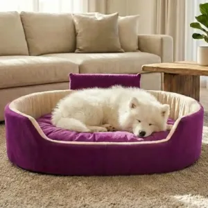 Bolster Orthopedic Dog Bed, dog bed, premium dog bed, orthopedic dog bed, soft dog bed, pet bed for dogs, comfortable dog bed, washable dog bed, dog bed with cushion, premium orthopedic dog bed for large dogs, soft and comfortable dog bed with cushion, durable dog bed with PU foam support, luxury pet bed for small and medium dogs, breathable dog bed for summer and winter, stylish modern dog bed for home, lightweight dog bed easy to carry, dog bed with bone shape pillow, buy dog bed online India, best dog bed for home use, affordable premium dog bed, high quality pet bed India, dog bed under budget, cozy dog bed, luxury pet comfort bed, soft plush dog bed, designer dog bed, pet sleeping bed, dog sofa bed, dog lounger bed, pet sofa bed, round dog bed, donut dog bed, calming dog bed, anti anxiety dog bed, raised edge dog bed, bolster dog bed, dog bed with side support, dog bed with high walls, puppy bed, small dog bed, medium dog bed, large dog bed, extra large dog bed, indoor dog bed, home pet bed, dog sleeping cushion, thick padded dog bed, fluffy dog bed, soft foam dog bed, PU foam dog bed, fiber filled dog bed, eco friendly dog bed, skin friendly dog bed, hypoallergenic dog bed, non toxic pet bed, durable pet bedding, long lasting dog bed, tear resistant dog bed, chew resistant dog bed, easy to clean dog bed, machine washable pet bed, removable cover dog bed, portable dog bed, travel dog bed, foldable dog bed, lightweight pet bed, luxury dog sofa, premium pet mattress, designer pet furniture, modern pet bed, aesthetic dog bed, comfortable pet mattress, pet relaxation bed, cozy pet nest, warm dog bed for winter, cool breathable dog bed for summer, all season dog bed, anti slip base dog bed, waterproof dog bed, indoor luxury pet bed, dog bed for crate, dog bed for living room, pet accessories dog bed, best selling dog bed, trending pet products, affordable pet bedding India, online pet supplies India
