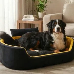 Bolster Orthopedic Dog Bed, dog bed, premium dog bed, orthopedic dog bed, soft dog bed, pet bed for dogs, comfortable dog bed, washable dog bed, dog bed with cushion, premium orthopedic dog bed for large dogs, soft and comfortable dog bed with cushion, durable dog bed with PU foam support, luxury pet bed for small and medium dogs, breathable dog bed for summer and winter, stylish modern dog bed for home, lightweight dog bed easy to carry, dog bed with bone shape pillow, buy dog bed online India, best dog bed for home use, affordable premium dog bed, high quality pet bed India, dog bed under budget, cozy dog bed, luxury pet comfort bed, soft plush dog bed, designer dog bed, pet sleeping bed, dog sofa bed, dog lounger bed, pet sofa bed, round dog bed, donut dog bed, calming dog bed, anti anxiety dog bed, raised edge dog bed, bolster dog bed, dog bed with side support, dog bed with high walls, puppy bed, small dog bed, medium dog bed, large dog bed, extra large dog bed, indoor dog bed, home pet bed, dog sleeping cushion, thick padded dog bed, fluffy dog bed, soft foam dog bed, PU foam dog bed, fiber filled dog bed, eco friendly dog bed, skin friendly dog bed, hypoallergenic dog bed, non toxic pet bed, durable pet bedding, long lasting dog bed, tear resistant dog bed, chew resistant dog bed, easy to clean dog bed, machine washable pet bed, removable cover dog bed, portable dog bed, travel dog bed, foldable dog bed, lightweight pet bed, luxury dog sofa, premium pet mattress, designer pet furniture, modern pet bed, aesthetic dog bed, comfortable pet mattress, pet relaxation bed, cozy pet nest, warm dog bed for winter, cool breathable dog bed for summer, all season dog bed, anti slip base dog bed, waterproof dog bed, indoor luxury pet bed, dog bed for crate, dog bed for living room, pet accessories dog bed, best selling dog bed, trending pet products, affordable pet bedding India, online pet supplies India