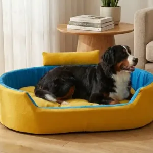 Bolster Orthopedic Dog Bed, dog bed, premium dog bed, orthopedic dog bed, soft dog bed, pet bed for dogs, comfortable dog bed, washable dog bed, dog bed with cushion, premium orthopedic dog bed for large dogs, soft and comfortable dog bed with cushion, durable dog bed with PU foam support, luxury pet bed for small and medium dogs, breathable dog bed for summer and winter, stylish modern dog bed for home, lightweight dog bed easy to carry, dog bed with bone shape pillow, buy dog bed online India, best dog bed for home use, affordable premium dog bed, high quality pet bed India, dog bed under budget, cozy dog bed, luxury pet comfort bed, soft plush dog bed, designer dog bed, pet sleeping bed, dog sofa bed, dog lounger bed, pet sofa bed, round dog bed, donut dog bed, calming dog bed, anti anxiety dog bed, raised edge dog bed, bolster dog bed, dog bed with side support, dog bed with high walls, puppy bed, small dog bed, medium dog bed, large dog bed, extra large dog bed, indoor dog bed, home pet bed, dog sleeping cushion, thick padded dog bed, fluffy dog bed, soft foam dog bed, PU foam dog bed, fiber filled dog bed, eco friendly dog bed, skin friendly dog bed, hypoallergenic dog bed, non toxic pet bed, durable pet bedding, long lasting dog bed, tear resistant dog bed, chew resistant dog bed, easy to clean dog bed, machine washable pet bed, removable cover dog bed, portable dog bed, travel dog bed, foldable dog bed, lightweight pet bed, luxury dog sofa, premium pet mattress, designer pet furniture, modern pet bed, aesthetic dog bed, comfortable pet mattress, pet relaxation bed, cozy pet nest, warm dog bed for winter, cool breathable dog bed for summer, all season dog bed, anti slip base dog bed, waterproof dog bed, indoor luxury pet bed, dog bed for crate, dog bed for living room, pet accessories dog bed, best selling dog bed, trending pet products, affordable pet bedding India, online pet supplies India