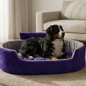 Bolster Orthopedic Dog Bed, dog bed, premium dog bed, orthopedic dog bed, soft dog bed, pet bed for dogs, comfortable dog bed, washable dog bed, dog bed with cushion, premium orthopedic dog bed for large dogs, soft and comfortable dog bed with cushion, durable dog bed with PU foam support, luxury pet bed for small and medium dogs, breathable dog bed for summer and winter, stylish modern dog bed for home, lightweight dog bed easy to carry, dog bed with bone shape pillow, buy dog bed online India, best dog bed for home use, affordable premium dog bed, high quality pet bed India, dog bed under budget, cozy dog bed, luxury pet comfort bed, soft plush dog bed, designer dog bed, pet sleeping bed, dog sofa bed, dog lounger bed, pet sofa bed, round dog bed, donut dog bed, calming dog bed, anti anxiety dog bed, raised edge dog bed, bolster dog bed, dog bed with side support, dog bed with high walls, puppy bed, small dog bed, medium dog bed, large dog bed, extra large dog bed, indoor dog bed, home pet bed, dog sleeping cushion, thick padded dog bed, fluffy dog bed, soft foam dog bed, PU foam dog bed, fiber filled dog bed, eco friendly dog bed, skin friendly dog bed, hypoallergenic dog bed, non toxic pet bed, durable pet bedding, long lasting dog bed, tear resistant dog bed, chew resistant dog bed, easy to clean dog bed, machine washable pet bed, removable cover dog bed, portable dog bed, travel dog bed, foldable dog bed, lightweight pet bed, luxury dog sofa, premium pet mattress, designer pet furniture, modern pet bed, aesthetic dog bed, comfortable pet mattress, pet relaxation bed, cozy pet nest, warm dog bed for winter, cool breathable dog bed for summer, all season dog bed, anti slip base dog bed, waterproof dog bed, indoor luxury pet bed, dog bed for crate, dog bed for living room, pet accessories dog bed, best selling dog bed, trending pet products, affordable pet bedding India, online pet supplies India