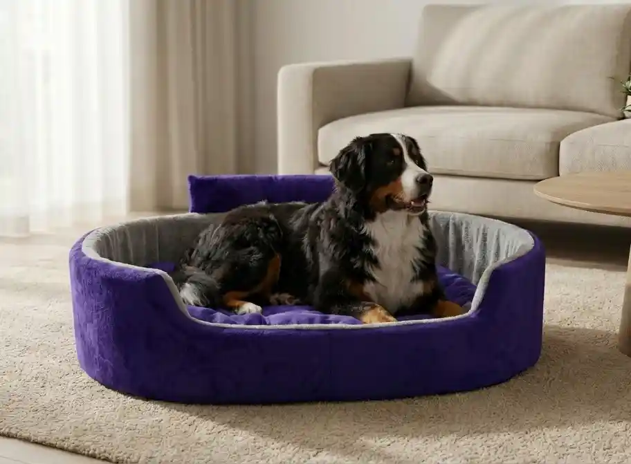 Blue Gray Dog Bed With Collar Bolster Orthopedic Dog Bed, dog bed, premium dog bed, orthopedic dog bed, soft dog bed, pet bed for dogs, comfortable dog bed, washable dog bed, dog bed with cushion, premium orthopedic dog bed for large dogs, soft and comfortable dog bed with cushion, durable dog bed with PU foam support, luxury pet bed for small and medium dogs, breathable dog bed for summer and winter, stylish modern dog bed for home, lightweight dog bed easy to carry, dog bed with bone shape pillow, buy dog bed online India, best dog bed for home use, affordable premium dog bed, high quality pet bed India, dog bed under budget, cozy dog bed, luxury pet comfort bed, soft plush dog bed, designer dog bed, pet sleeping bed, dog sofa bed, dog lounger bed, pet sofa bed, round dog bed, donut dog bed, calming dog bed, anti anxiety dog bed, raised edge dog bed, bolster dog bed, dog bed with side support, dog bed with high walls, puppy bed, small dog bed, medium dog bed, large dog bed, extra large dog bed, indoor dog bed, home pet bed, dog sleeping cushion, thick padded dog bed, fluffy dog bed, soft foam dog bed, PU foam dog bed, fiber filled dog bed, eco friendly dog bed, skin friendly dog bed, hypoallergenic dog bed, non toxic pet bed, durable pet bedding, long lasting dog bed, tear resistant dog bed, chew resistant dog bed, easy to clean dog bed, machine washable pet bed, removable cover dog bed, portable dog bed, travel dog bed, foldable dog bed, lightweight pet bed, luxury dog sofa, premium pet mattress, designer pet furniture, modern pet bed, aesthetic dog bed, comfortable pet mattress, pet relaxation bed, cozy pet nest, warm dog bed for winter, cool breathable dog bed for summer, all season dog bed, anti slip base dog bed, waterproof dog bed, indoor luxury pet bed, dog bed for crate, dog bed for living room, pet accessories dog bed, best selling dog bed, trending pet products, affordable pet bedding India, online pet supplies India
