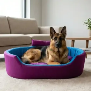 Bolster Orthopedic Dog Bed, dog bed, premium dog bed, orthopedic dog bed, soft dog bed, pet bed for dogs, comfortable dog bed, washable dog bed, dog bed with cushion, premium orthopedic dog bed for large dogs, soft and comfortable dog bed with cushion, durable dog bed with PU foam support, luxury pet bed for small and medium dogs, breathable dog bed for summer and winter, stylish modern dog bed for home, lightweight dog bed easy to carry, dog bed with bone shape pillow, buy dog bed online India, best dog bed for home use, affordable premium dog bed, high quality pet bed India, dog bed under budget, cozy dog bed, luxury pet comfort bed, soft plush dog bed, designer dog bed, pet sleeping bed, dog sofa bed, dog lounger bed, pet sofa bed, round dog bed, donut dog bed, calming dog bed, anti anxiety dog bed, raised edge dog bed, bolster dog bed, dog bed with side support, dog bed with high walls, puppy bed, small dog bed, medium dog bed, large dog bed, extra large dog bed, indoor dog bed, home pet bed, dog sleeping cushion, thick padded dog bed, fluffy dog bed, soft foam dog bed, PU foam dog bed, fiber filled dog bed, eco friendly dog bed, skin friendly dog bed, hypoallergenic dog bed, non toxic pet bed, durable pet bedding, long lasting dog bed, tear resistant dog bed, chew resistant dog bed, easy to clean dog bed, machine washable pet bed, removable cover dog bed, portable dog bed, travel dog bed, foldable dog bed, lightweight pet bed, luxury dog sofa, premium pet mattress, designer pet furniture, modern pet bed, aesthetic dog bed, comfortable pet mattress, pet relaxation bed, cozy pet nest, warm dog bed for winter, cool breathable dog bed for summer, all season dog bed, anti slip base dog bed, waterproof dog bed, indoor luxury pet bed, dog bed for crate, dog bed for living room, pet accessories dog bed, best selling dog bed, trending pet products, affordable pet bedding India, online pet supplies India