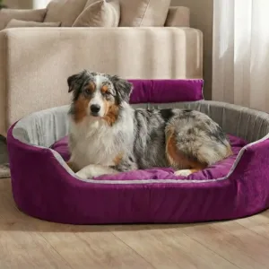Bolster Orthopedic Dog Bed, dog bed, premium dog bed, orthopedic dog bed, soft dog bed, pet bed for dogs, comfortable dog bed, washable dog bed, dog bed with cushion, premium orthopedic dog bed for large dogs, soft and comfortable dog bed with cushion, durable dog bed with PU foam support, luxury pet bed for small and medium dogs, breathable dog bed for summer and winter, stylish modern dog bed for home, lightweight dog bed easy to carry, dog bed with bone shape pillow, buy dog bed online India, best dog bed for home use, affordable premium dog bed, high quality pet bed India, dog bed under budget, cozy dog bed, luxury pet comfort bed, soft plush dog bed, designer dog bed, pet sleeping bed, dog sofa bed, dog lounger bed, pet sofa bed, round dog bed, donut dog bed, calming dog bed, anti anxiety dog bed, raised edge dog bed, bolster dog bed, dog bed with side support, dog bed with high walls, puppy bed, small dog bed, medium dog bed, large dog bed, extra large dog bed, indoor dog bed, home pet bed, dog sleeping cushion, thick padded dog bed, fluffy dog bed, soft foam dog bed, PU foam dog bed, fiber filled dog bed, eco friendly dog bed, skin friendly dog bed, hypoallergenic dog bed, non toxic pet bed, durable pet bedding, long lasting dog bed, tear resistant dog bed, chew resistant dog bed, easy to clean dog bed, machine washable pet bed, removable cover dog bed, portable dog bed, travel dog bed, foldable dog bed, lightweight pet bed, luxury dog sofa, premium pet mattress, designer pet furniture, modern pet bed, aesthetic dog bed, comfortable pet mattress, pet relaxation bed, cozy pet nest, warm dog bed for winter, cool breathable dog bed for summer, all season dog bed, anti slip base dog bed, waterproof dog bed, indoor luxury pet bed, dog bed for crate, dog bed for living room, pet accessories dog bed, best selling dog bed, trending pet products, affordable pet bedding India, online pet supplies India