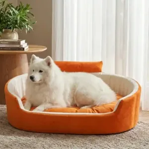 Bolster Orthopedic Dog Bed, dog bed, premium dog bed, orthopedic dog bed, soft dog bed, pet bed for dogs, comfortable dog bed, washable dog bed, dog bed with cushion, premium orthopedic dog bed for large dogs, soft and comfortable dog bed with cushion, durable dog bed with PU foam support, luxury pet bed for small and medium dogs, breathable dog bed for summer and winter, stylish modern dog bed for home, lightweight dog bed easy to carry, dog bed with bone shape pillow, buy dog bed online India, best dog bed for home use, affordable premium dog bed, high quality pet bed India, dog bed under budget, cozy dog bed, luxury pet comfort bed, soft plush dog bed, designer dog bed, pet sleeping bed, dog sofa bed, dog lounger bed, pet sofa bed, round dog bed, donut dog bed, calming dog bed, anti anxiety dog bed, raised edge dog bed, bolster dog bed, dog bed with side support, dog bed with high walls, puppy bed, small dog bed, medium dog bed, large dog bed, extra large dog bed, indoor dog bed, home pet bed, dog sleeping cushion, thick padded dog bed, fluffy dog bed, soft foam dog bed, PU foam dog bed, fiber filled dog bed, eco friendly dog bed, skin friendly dog bed, hypoallergenic dog bed, non toxic pet bed, durable pet bedding, long lasting dog bed, tear resistant dog bed, chew resistant dog bed, easy to clean dog bed, machine washable pet bed, removable cover dog bed, portable dog bed, travel dog bed, foldable dog bed, lightweight pet bed, luxury dog sofa, premium pet mattress, designer pet furniture, modern pet bed, aesthetic dog bed, comfortable pet mattress, pet relaxation bed, cozy pet nest, warm dog bed for winter, cool breathable dog bed for summer, all season dog bed, anti slip base dog bed, waterproof dog bed, indoor luxury pet bed, dog bed for crate, dog bed for living room, pet accessories dog bed, best selling dog bed, trending pet products, affordable pet bedding India, online pet supplies India