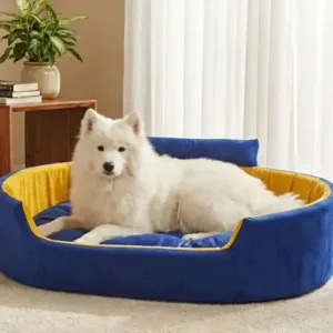 Bolster Orthopedic Dog Bed, dog bed, premium dog bed, orthopedic dog bed, soft dog bed, pet bed for dogs, comfortable dog bed, washable dog bed, dog bed with cushion, premium orthopedic dog bed for large dogs, soft and comfortable dog bed with cushion, durable dog bed with PU foam support, luxury pet bed for small and medium dogs, breathable dog bed for summer and winter, stylish modern dog bed for home, lightweight dog bed easy to carry, dog bed with bone shape pillow, buy dog bed online India, best dog bed for home use, affordable premium dog bed, high quality pet bed India, dog bed under budget, cozy dog bed, luxury pet comfort bed, soft plush dog bed, designer dog bed, pet sleeping bed, dog sofa bed, dog lounger bed, pet sofa bed, round dog bed, donut dog bed, calming dog bed, anti anxiety dog bed, raised edge dog bed, bolster dog bed, dog bed with side support, dog bed with high walls, puppy bed, small dog bed, medium dog bed, large dog bed, extra large dog bed, indoor dog bed, home pet bed, dog sleeping cushion, thick padded dog bed, fluffy dog bed, soft foam dog bed, PU foam dog bed, fiber filled dog bed, eco friendly dog bed, skin friendly dog bed, hypoallergenic dog bed, non toxic pet bed, durable pet bedding, long lasting dog bed, tear resistant dog bed, chew resistant dog bed, easy to clean dog bed, machine washable pet bed, removable cover dog bed, portable dog bed, travel dog bed, foldable dog bed, lightweight pet bed, luxury dog sofa, premium pet mattress, designer pet furniture, modern pet bed, aesthetic dog bed, comfortable pet mattress, pet relaxation bed, cozy pet nest, warm dog bed for winter, cool breathable dog bed for summer, all season dog bed, anti slip base dog bed, waterproof dog bed, indoor luxury pet bed, dog bed for crate, dog bed for living room, pet accessories dog bed, best selling dog bed, trending pet products, affordable pet bedding India, online pet supplies India