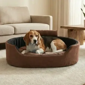 Bolster Orthopedic Dog Bed, dog bed, premium dog bed, orthopedic dog bed, soft dog bed, pet bed for dogs, comfortable dog bed, washable dog bed, dog bed with cushion, premium orthopedic dog bed for large dogs, soft and comfortable dog bed with cushion, durable dog bed with PU foam support, luxury pet bed for small and medium dogs, breathable dog bed for summer and winter, stylish modern dog bed for home, lightweight dog bed easy to carry, dog bed with bone shape pillow, buy dog bed online India, best dog bed for home use, affordable premium dog bed, high quality pet bed India, dog bed under budget, cozy dog bed, luxury pet comfort bed, soft plush dog bed, designer dog bed, pet sleeping bed, dog sofa bed, dog lounger bed, pet sofa bed, round dog bed, donut dog bed, calming dog bed, anti anxiety dog bed, raised edge dog bed, bolster dog bed, dog bed with side support, dog bed with high walls, puppy bed, small dog bed, medium dog bed, large dog bed, extra large dog bed, indoor dog bed, home pet bed, dog sleeping cushion, thick padded dog bed, fluffy dog bed, soft foam dog bed, PU foam dog bed, fiber filled dog bed, eco friendly dog bed, skin friendly dog bed, hypoallergenic dog bed, non toxic pet bed, durable pet bedding, long lasting dog bed, tear resistant dog bed, chew resistant dog bed, easy to clean dog bed, machine washable pet bed, removable cover dog bed, portable dog bed, travel dog bed, foldable dog bed, lightweight pet bed, luxury dog sofa, premium pet mattress, designer pet furniture, modern pet bed, aesthetic dog bed, comfortable pet mattress, pet relaxation bed, cozy pet nest, warm dog bed for winter, cool breathable dog bed for summer, all season dog bed, anti slip base dog bed, waterproof dog bed, indoor luxury pet bed, dog bed for crate, dog bed for living room, pet accessories dog bed, best selling dog bed, trending pet products, affordable pet bedding India, online pet supplies India