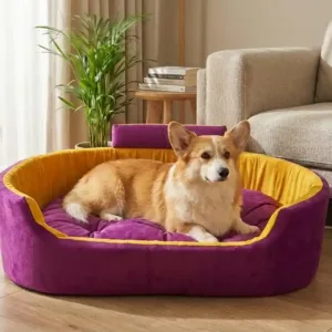 Bolster Orthopedic Dog Bed, dog bed, premium dog bed, orthopedic dog bed, soft dog bed, pet bed for dogs, comfortable dog bed, washable dog bed, dog bed with cushion, premium orthopedic dog bed for large dogs, soft and comfortable dog bed with cushion, durable dog bed with PU foam support, luxury pet bed for small and medium dogs, breathable dog bed for summer and winter, stylish modern dog bed for home, lightweight dog bed easy to carry, dog bed with bone shape pillow, buy dog bed online India, best dog bed for home use, affordable premium dog bed, high quality pet bed India, dog bed under budget, cozy dog bed, luxury pet comfort bed, soft plush dog bed, designer dog bed, pet sleeping bed, dog sofa bed, dog lounger bed, pet sofa bed, round dog bed, donut dog bed, calming dog bed, anti anxiety dog bed, raised edge dog bed, bolster dog bed, dog bed with side support, dog bed with high walls, puppy bed, small dog bed, medium dog bed, large dog bed, extra large dog bed, indoor dog bed, home pet bed, dog sleeping cushion, thick padded dog bed, fluffy dog bed, soft foam dog bed, PU foam dog bed, fiber filled dog bed, eco friendly dog bed, skin friendly dog bed, hypoallergenic dog bed, non toxic pet bed, durable pet bedding, long lasting dog bed, tear resistant dog bed, chew resistant dog bed, easy to clean dog bed, machine washable pet bed, removable cover dog bed, portable dog bed, travel dog bed, foldable dog bed, lightweight pet bed, luxury dog sofa, premium pet mattress, designer pet furniture, modern pet bed, aesthetic dog bed, comfortable pet mattress, pet relaxation bed, cozy pet nest, warm dog bed for winter, cool breathable dog bed for summer, all season dog bed, anti slip base dog bed, waterproof dog bed, indoor luxury pet bed, dog bed for crate, dog bed for living room, pet accessories dog bed, best selling dog bed, trending pet products, affordable pet bedding India, online pet supplies India