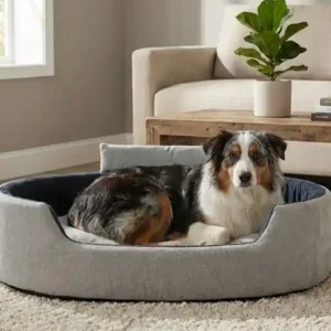Bolster Orthopedic Dog Bed, dog bed, premium dog bed, orthopedic dog bed, soft dog bed, pet bed for dogs, comfortable dog bed, washable dog bed, dog bed with cushion, premium orthopedic dog bed for large dogs, soft and comfortable dog bed with cushion, durable dog bed with PU foam support, luxury pet bed for small and medium dogs, breathable dog bed for summer and winter, stylish modern dog bed for home, lightweight dog bed easy to carry, dog bed with bone shape pillow, buy dog bed online India, best dog bed for home use, affordable premium dog bed, high quality pet bed India, dog bed under budget, cozy dog bed, luxury pet comfort bed, soft plush dog bed, designer dog bed, pet sleeping bed, dog sofa bed, dog lounger bed, pet sofa bed, round dog bed, donut dog bed, calming dog bed, anti anxiety dog bed, raised edge dog bed, bolster dog bed, dog bed with side support, dog bed with high walls, puppy bed, small dog bed, medium dog bed, large dog bed, extra large dog bed, indoor dog bed, home pet bed, dog sleeping cushion, thick padded dog bed, fluffy dog bed, soft foam dog bed, PU foam dog bed, fiber filled dog bed, eco friendly dog bed, skin friendly dog bed, hypoallergenic dog bed, non toxic pet bed, durable pet bedding, long lasting dog bed, tear resistant dog bed, chew resistant dog bed, easy to clean dog bed, machine washable pet bed, removable cover dog bed, portable dog bed, travel dog bed, foldable dog bed, lightweight pet bed, luxury dog sofa, premium pet mattress, designer pet furniture, modern pet bed, aesthetic dog bed, comfortable pet mattress, pet relaxation bed, cozy pet nest, warm dog bed for winter, cool breathable dog bed for summer, all season dog bed, anti slip base dog bed, waterproof dog bed, indoor luxury pet bed, dog bed for crate, dog bed for living room, pet accessories dog bed, best selling dog bed, trending pet products, affordable pet bedding India, online pet supplies India