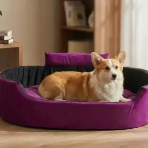 Bolster Orthopedic Dog Bed, dog bed, premium dog bed, orthopedic dog bed, soft dog bed, pet bed for dogs, comfortable dog bed, washable dog bed, dog bed with cushion, premium orthopedic dog bed for large dogs, soft and comfortable dog bed with cushion, durable dog bed with PU foam support, luxury pet bed for small and medium dogs, breathable dog bed for summer and winter, stylish modern dog bed for home, lightweight dog bed easy to carry, dog bed with bone shape pillow, buy dog bed online India, best dog bed for home use, affordable premium dog bed, high quality pet bed India, dog bed under budget, cozy dog bed, luxury pet comfort bed, soft plush dog bed, designer dog bed, pet sleeping bed, dog sofa bed, dog lounger bed, pet sofa bed, round dog bed, donut dog bed, calming dog bed, anti anxiety dog bed, raised edge dog bed, bolster dog bed, dog bed with side support, dog bed with high walls, puppy bed, small dog bed, medium dog bed, large dog bed, extra large dog bed, indoor dog bed, home pet bed, dog sleeping cushion, thick padded dog bed, fluffy dog bed, soft foam dog bed, PU foam dog bed, fiber filled dog bed, eco friendly dog bed, skin friendly dog bed, hypoallergenic dog bed, non toxic pet bed, durable pet bedding, long lasting dog bed, tear resistant dog bed, chew resistant dog bed, easy to clean dog bed, machine washable pet bed, removable cover dog bed, portable dog bed, travel dog bed, foldable dog bed, lightweight pet bed, luxury dog sofa, premium pet mattress, designer pet furniture, modern pet bed, aesthetic dog bed, comfortable pet mattress, pet relaxation bed, cozy pet nest, warm dog bed for winter, cool breathable dog bed for summer, all season dog bed, anti slip base dog bed, waterproof dog bed, indoor luxury pet bed, dog bed for crate, dog bed for living room, pet accessories dog bed, best selling dog bed, trending pet products, affordable pet bedding India, online pet supplies India