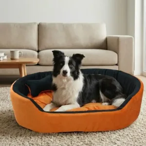 dog bed, premium dog bed, orthopedic dog bed, soft dog bed, pet bed for dogs, comfortable dog bed, washable dog bed, dog bed with cushion, premium orthopedic dog bed for large dogs, soft and comfortable dog bed with cushion, durable dog bed with PU foam support, luxury pet bed for small and medium dogs, breathable dog bed for summer and winter, stylish modern dog bed for home, lightweight dog bed easy to carry, dog bed with bone shape pillow, buy dog bed online India, best dog bed for home use, affordable premium dog bed, high quality pet bed India, dog bed under budget, cozy dog bed, luxury pet comfort bed, soft plush dog bed, designer dog bed, pet sleeping bed, dog sofa bed, dog lounger bed, pet sofa bed, round dog bed, donut dog bed, calming dog bed, anti anxiety dog bed, raised edge dog bed, bolster dog bed, dog bed with side support, dog bed with high walls, puppy bed, small dog bed, medium dog bed, large dog bed, extra large dog bed, indoor dog bed, home pet bed, dog sleeping cushion, thick padded dog bed, fluffy dog bed, soft foam dog bed, PU foam dog bed, fiber filled dog bed, eco friendly dog bed, skin friendly dog bed, hypoallergenic dog bed, non toxic pet bed, durable pet bedding, long lasting dog bed, tear resistant dog bed, chew resistant dog bed, easy to clean dog bed, machine washable pet bed, removable cover dog bed, portable dog bed, travel dog bed, foldable dog bed, lightweight pet bed, luxury dog sofa, premium pet mattress, designer pet furniture, modern pet bed, aesthetic dog bed, comfortable pet mattress, pet relaxation bed, cozy pet nest, warm dog bed for winter, cool breathable dog bed for summer, all season dog bed, anti slip base dog bed, waterproof dog bed, indoor luxury pet bed, dog bed for crate, dog bed for living room, pet accessories dog bed, best selling dog bed, trending pet products, affordable pet bedding India, online pet supplies India