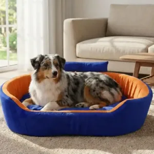 Bolster Orthopedic Dog Bed, dog bed, premium dog bed, orthopedic dog bed, soft dog bed, pet bed for dogs, comfortable dog bed, washable dog bed, dog bed with cushion, premium orthopedic dog bed for large dogs, soft and comfortable dog bed with cushion, durable dog bed with PU foam support, luxury pet bed for small and medium dogs, breathable dog bed for summer and winter, stylish modern dog bed for home, lightweight dog bed easy to carry, dog bed with bone shape pillow, buy dog bed online India, best dog bed for home use, affordable premium dog bed, high quality pet bed India, dog bed under budget, cozy dog bed, luxury pet comfort bed, soft plush dog bed, designer dog bed, pet sleeping bed, dog sofa bed, dog lounger bed, pet sofa bed, round dog bed, donut dog bed, calming dog bed, anti anxiety dog bed, raised edge dog bed, bolster dog bed, dog bed with side support, dog bed with high walls, puppy bed, small dog bed, medium dog bed, large dog bed, extra large dog bed, indoor dog bed, home pet bed, dog sleeping cushion, thick padded dog bed, fluffy dog bed, soft foam dog bed, PU foam dog bed, fiber filled dog bed, eco friendly dog bed, skin friendly dog bed, hypoallergenic dog bed, non toxic pet bed, durable pet bedding, long lasting dog bed, tear resistant dog bed, chew resistant dog bed, easy to clean dog bed, machine washable pet bed, removable cover dog bed, portable dog bed, travel dog bed, foldable dog bed, lightweight pet bed, luxury dog sofa, premium pet mattress, designer pet furniture, modern pet bed, aesthetic dog bed, comfortable pet mattress, pet relaxation bed, cozy pet nest, warm dog bed for winter, cool breathable dog bed for summer, all season dog bed, anti slip base dog bed, waterproof dog bed, indoor luxury pet bed, dog bed for crate, dog bed for living room, pet accessories dog bed, best selling dog bed, trending pet products, affordable pet bedding India, online pet supplies India