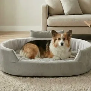 Bolster Orthopedic Dog Bed, dog bed, premium dog bed, orthopedic dog bed, soft dog bed, pet bed for dogs, comfortable dog bed, washable dog bed, dog bed with cushion, premium orthopedic dog bed for large dogs, soft and comfortable dog bed with cushion, durable dog bed with PU foam support, luxury pet bed for small and medium dogs, breathable dog bed for summer and winter, stylish modern dog bed for home, lightweight dog bed easy to carry, dog bed with bone shape pillow, buy dog bed online India, best dog bed for home use, affordable premium dog bed, high quality pet bed India, dog bed under budget, cozy dog bed, luxury pet comfort bed, soft plush dog bed, designer dog bed, pet sleeping bed, dog sofa bed, dog lounger bed, pet sofa bed, round dog bed, donut dog bed, calming dog bed, anti anxiety dog bed, raised edge dog bed, bolster dog bed, dog bed with side support, dog bed with high walls, puppy bed, small dog bed, medium dog bed, large dog bed, extra large dog bed, indoor dog bed, home pet bed, dog sleeping cushion, thick padded dog bed, fluffy dog bed, soft foam dog bed, PU foam dog bed, fiber filled dog bed, eco friendly dog bed, skin friendly dog bed, hypoallergenic dog bed, non toxic pet bed, durable pet bedding, long lasting dog bed, tear resistant dog bed, chew resistant dog bed, easy to clean dog bed, machine washable pet bed, removable cover dog bed, portable dog bed, travel dog bed, foldable dog bed, lightweight pet bed, luxury dog sofa, premium pet mattress, designer pet furniture, modern pet bed, aesthetic dog bed, comfortable pet mattress, pet relaxation bed, cozy pet nest, warm dog bed for winter, cool breathable dog bed for summer, all season dog bed, anti slip base dog bed, waterproof dog bed, indoor luxury pet bed, dog bed for crate, dog bed for living room, pet accessories dog bed, best selling dog bed, trending pet products, affordable pet bedding India, online pet supplies India