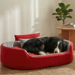 Bolster Orthopedic Dog Bed, dog bed, premium dog bed, orthopedic dog bed, soft dog bed, pet bed for dogs, comfortable dog bed, washable dog bed, dog bed with cushion, premium orthopedic dog bed for large dogs, soft and comfortable dog bed with cushion, durable dog bed with PU foam support, luxury pet bed for small and medium dogs, breathable dog bed for summer and winter, stylish modern dog bed for home, lightweight dog bed easy to carry, dog bed with bone shape pillow, buy dog bed online India, best dog bed for home use, affordable premium dog bed, high quality pet bed India, dog bed under budget, cozy dog bed, luxury pet comfort bed, soft plush dog bed, designer dog bed, pet sleeping bed, dog sofa bed, dog lounger bed, pet sofa bed, round dog bed, donut dog bed, calming dog bed, anti anxiety dog bed, raised edge dog bed, bolster dog bed, dog bed with side support, dog bed with high walls, puppy bed, small dog bed, medium dog bed, large dog bed, extra large dog bed, indoor dog bed, home pet bed, dog sleeping cushion, thick padded dog bed, fluffy dog bed, soft foam dog bed, PU foam dog bed, fiber filled dog bed, eco friendly dog bed, skin friendly dog bed, hypoallergenic dog bed, non toxic pet bed, durable pet bedding, long lasting dog bed, tear resistant dog bed, chew resistant dog bed, easy to clean dog bed, machine washable pet bed, removable cover dog bed, portable dog bed, travel dog bed, foldable dog bed, lightweight pet bed, luxury dog sofa, premium pet mattress, designer pet furniture, modern pet bed, aesthetic dog bed, comfortable pet mattress, pet relaxation bed, cozy pet nest, warm dog bed for winter, cool breathable dog bed for summer, all season dog bed, anti slip base dog bed, waterproof dog bed, indoor luxury pet bed, dog bed for crate, dog bed for living room, pet accessories dog bed, best selling dog bed, trending pet products, affordable pet bedding India, online pet supplies India