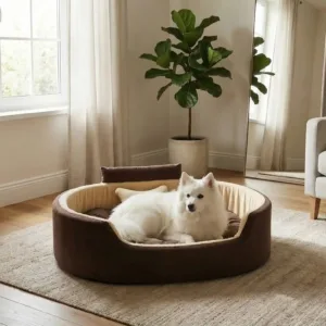 Bolster Orthopedic Dog Bed, dog bed, premium dog bed, orthopedic dog bed, soft dog bed, pet bed for dogs, comfortable dog bed, washable dog bed, dog bed with cushion, premium orthopedic dog bed for large dogs, soft and comfortable dog bed with cushion, durable dog bed with PU foam support, luxury pet bed for small and medium dogs, breathable dog bed for summer and winter, stylish modern dog bed for home, lightweight dog bed easy to carry, dog bed with bone shape pillow, buy dog bed online India, best dog bed for home use, affordable premium dog bed, high quality pet bed India, dog bed under budget, cozy dog bed, luxury pet comfort bed, soft plush dog bed, designer dog bed, pet sleeping bed, dog sofa bed, dog lounger bed, pet sofa bed, round dog bed, donut dog bed, calming dog bed, anti anxiety dog bed, raised edge dog bed, bolster dog bed, dog bed with side support, dog bed with high walls, puppy bed, small dog bed, medium dog bed, large dog bed, extra large dog bed, indoor dog bed, home pet bed, dog sleeping cushion, thick padded dog bed, fluffy dog bed, soft foam dog bed, PU foam dog bed, fiber filled dog bed, eco friendly dog bed, skin friendly dog bed, hypoallergenic dog bed, non toxic pet bed, durable pet bedding, long lasting dog bed, tear resistant dog bed, chew resistant dog bed, easy to clean dog bed, machine washable pet bed, removable cover dog bed, portable dog bed, travel dog bed, foldable dog bed, lightweight pet bed, luxury dog sofa, premium pet mattress, designer pet furniture, modern pet bed, aesthetic dog bed, comfortable pet mattress, pet relaxation bed, cozy pet nest, warm dog bed for winter, cool breathable dog bed for summer, all season dog bed, anti slip base dog bed, waterproof dog bed, indoor luxury pet bed, dog bed for crate, dog bed for living room, pet accessories dog bed, best selling dog bed, trending pet products, affordable pet bedding India, online pet supplies India