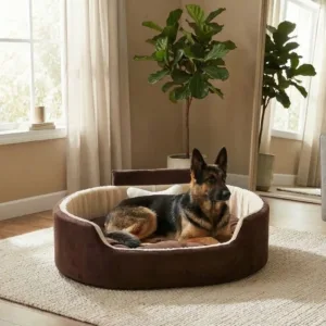 Bolster Orthopedic Dog Bed, dog bed, premium dog bed, orthopedic dog bed, soft dog bed, pet bed for dogs, comfortable dog bed, washable dog bed, dog bed with cushion, premium orthopedic dog bed for large dogs, soft and comfortable dog bed with cushion, durable dog bed with PU foam support, luxury pet bed for small and medium dogs, breathable dog bed for summer and winter, stylish modern dog bed for home, lightweight dog bed easy to carry, dog bed with bone shape pillow, buy dog bed online India, best dog bed for home use, affordable premium dog bed, high quality pet bed India, dog bed under budget, cozy dog bed, luxury pet comfort bed, soft plush dog bed, designer dog bed, pet sleeping bed, dog sofa bed, dog lounger bed, pet sofa bed, round dog bed, donut dog bed, calming dog bed, anti anxiety dog bed, raised edge dog bed, bolster dog bed, dog bed with side support, dog bed with high walls, puppy bed, small dog bed, medium dog bed, large dog bed, extra large dog bed, indoor dog bed, home pet bed, dog sleeping cushion, thick padded dog bed, fluffy dog bed, soft foam dog bed, PU foam dog bed, fiber filled dog bed, eco friendly dog bed, skin friendly dog bed, hypoallergenic dog bed, non toxic pet bed, durable pet bedding, long lasting dog bed, tear resistant dog bed, chew resistant dog bed, easy to clean dog bed, machine washable pet bed, removable cover dog bed, portable dog bed, travel dog bed, foldable dog bed, lightweight pet bed, luxury dog sofa, premium pet mattress, designer pet furniture, modern pet bed, aesthetic dog bed, comfortable pet mattress, pet relaxation bed, cozy pet nest, warm dog bed for winter, cool breathable dog bed for summer, all season dog bed, anti slip base dog bed, waterproof dog bed, indoor luxury pet bed, dog bed for crate, dog bed for living room, pet accessories dog bed, best selling dog bed, trending pet products, affordable pet bedding India, online pet supplies India