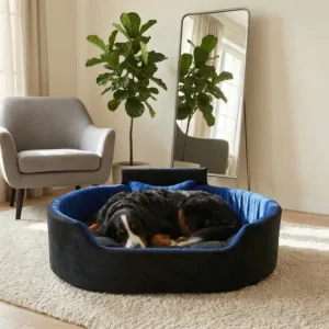 Bolster Orthopedic Dog Bed, dog bed, premium dog bed, orthopedic dog bed, soft dog bed, pet bed for dogs, comfortable dog bed, washable dog bed, dog bed with cushion, premium orthopedic dog bed for large dogs, soft and comfortable dog bed with cushion, durable dog bed with PU foam support, luxury pet bed for small and medium dogs, breathable dog bed for summer and winter, stylish modern dog bed for home, lightweight dog bed easy to carry, dog bed with bone shape pillow, buy dog bed online India, best dog bed for home use, affordable premium dog bed, high quality pet bed India, dog bed under budget, cozy dog bed, luxury pet comfort bed, soft plush dog bed, designer dog bed, pet sleeping bed, dog sofa bed, dog lounger bed, pet sofa bed, round dog bed, donut dog bed, calming dog bed, anti anxiety dog bed, raised edge dog bed, bolster dog bed, dog bed with side support, dog bed with high walls, puppy bed, small dog bed, medium dog bed, large dog bed, extra large dog bed, indoor dog bed, home pet bed, dog sleeping cushion, thick padded dog bed, fluffy dog bed, soft foam dog bed, PU foam dog bed, fiber filled dog bed, eco friendly dog bed, skin friendly dog bed, hypoallergenic dog bed, non toxic pet bed, durable pet bedding, long lasting dog bed, tear resistant dog bed, chew resistant dog bed, easy to clean dog bed, machine washable pet bed, removable cover dog bed, portable dog bed, travel dog bed, foldable dog bed, lightweight pet bed, luxury dog sofa, premium pet mattress, designer pet furniture, modern pet bed, aesthetic dog bed, comfortable pet mattress, pet relaxation bed, cozy pet nest, warm dog bed for winter, cool breathable dog bed for summer, all season dog bed, anti slip base dog bed, waterproof dog bed, indoor luxury pet bed, dog bed for crate, dog bed for living room, pet accessories dog bed, best selling dog bed, trending pet products, affordable pet bedding India, online pet supplies India